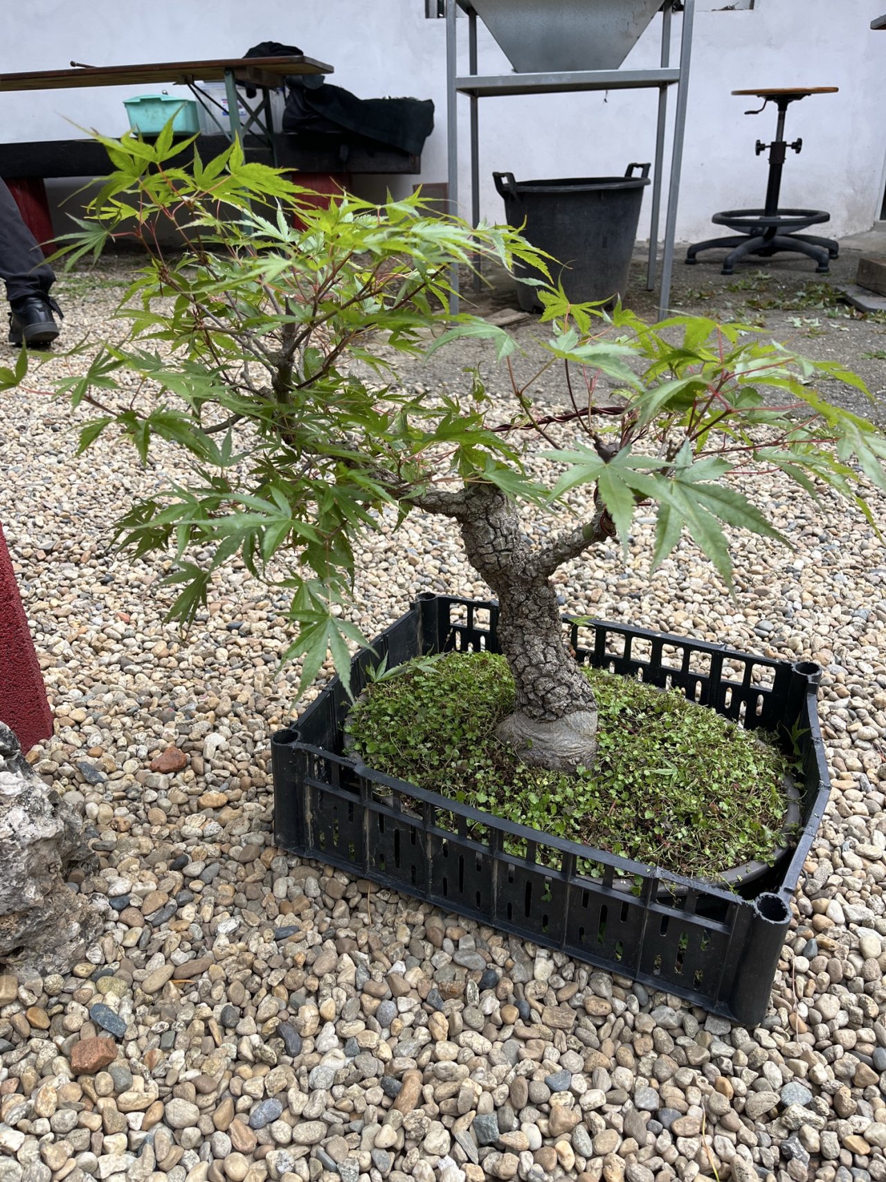 Photo 17