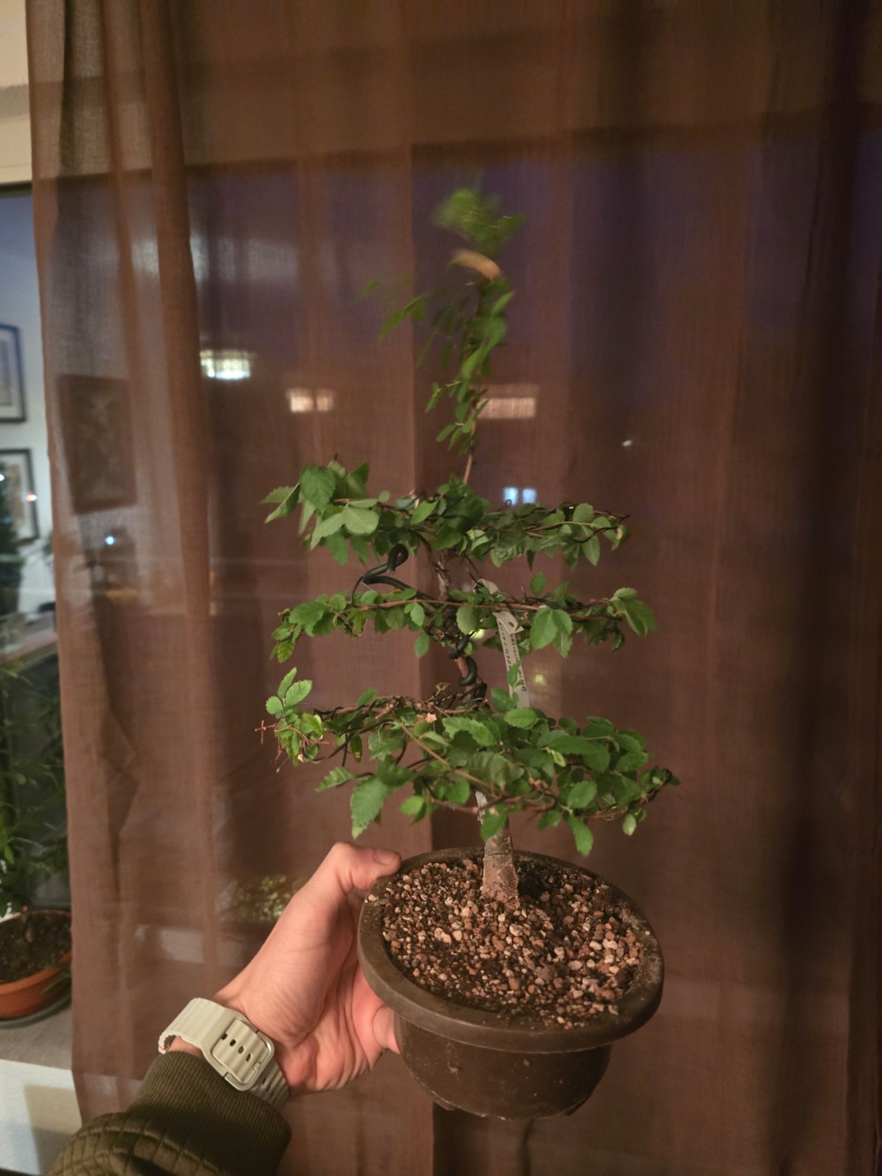 Photo 21