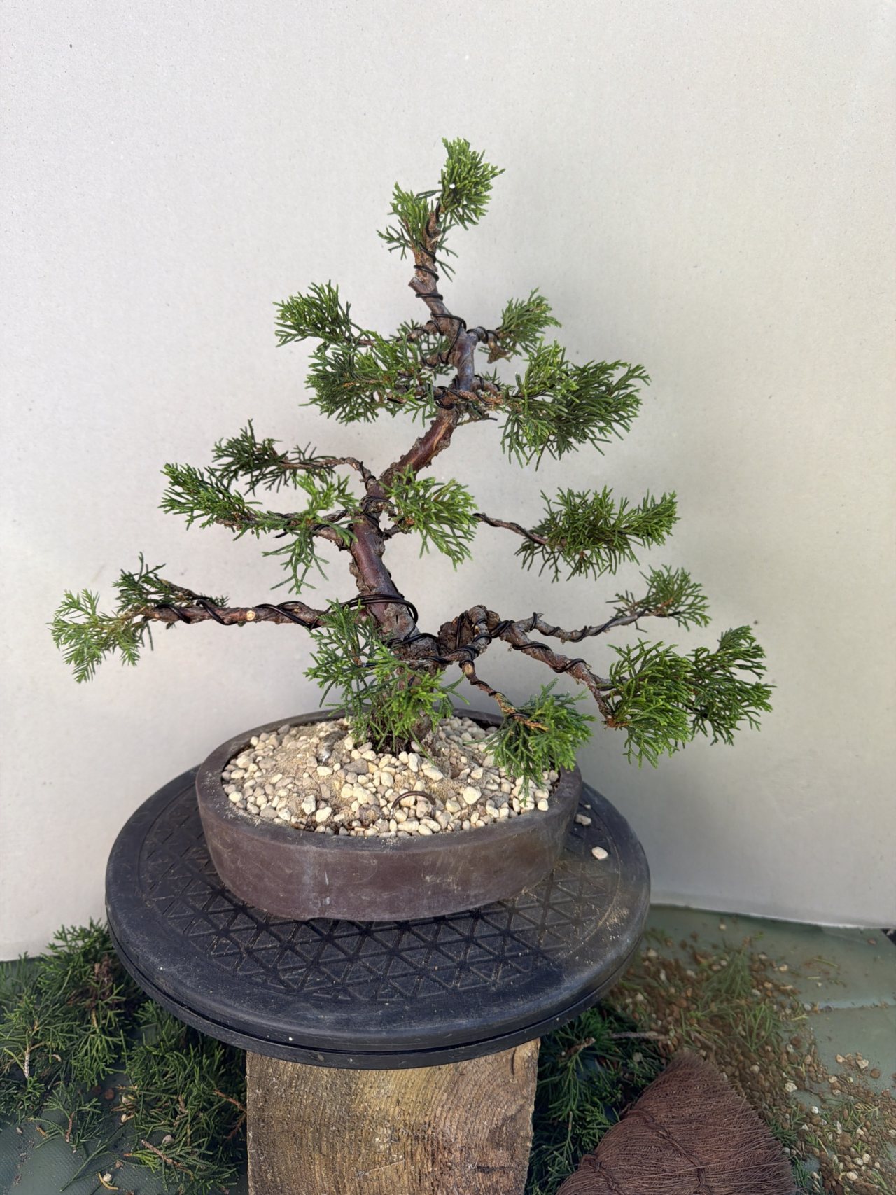 Photo 7