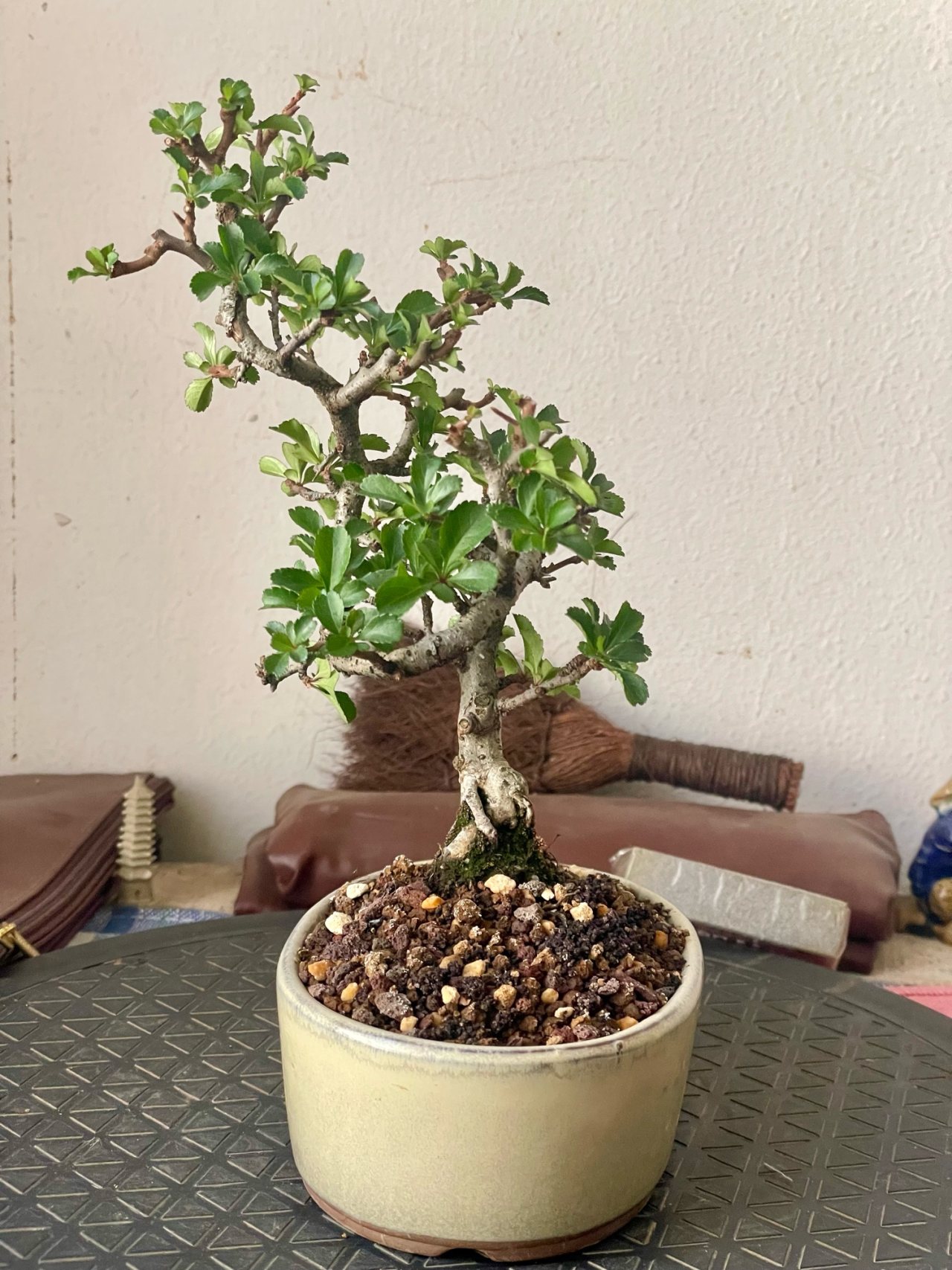 Photo 19