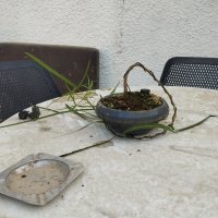 Drahtung - 09.08.26 - Photo 1/1