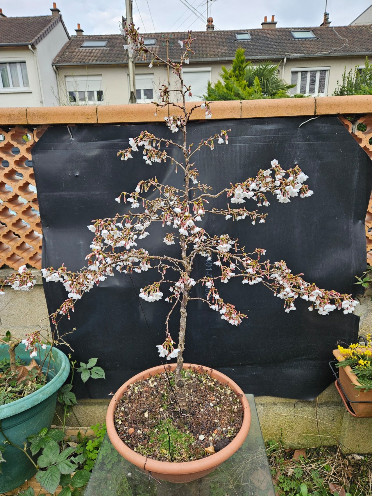 Photo 4