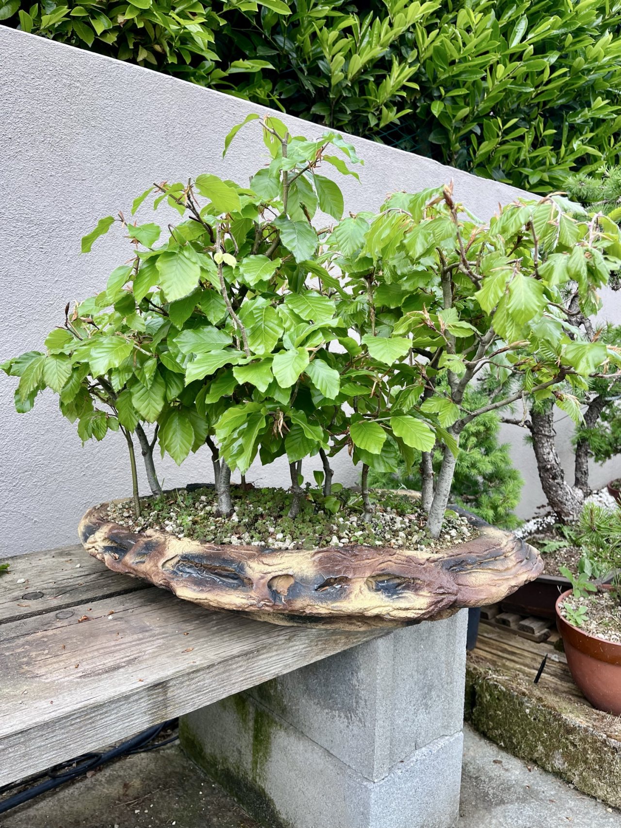Photo 16