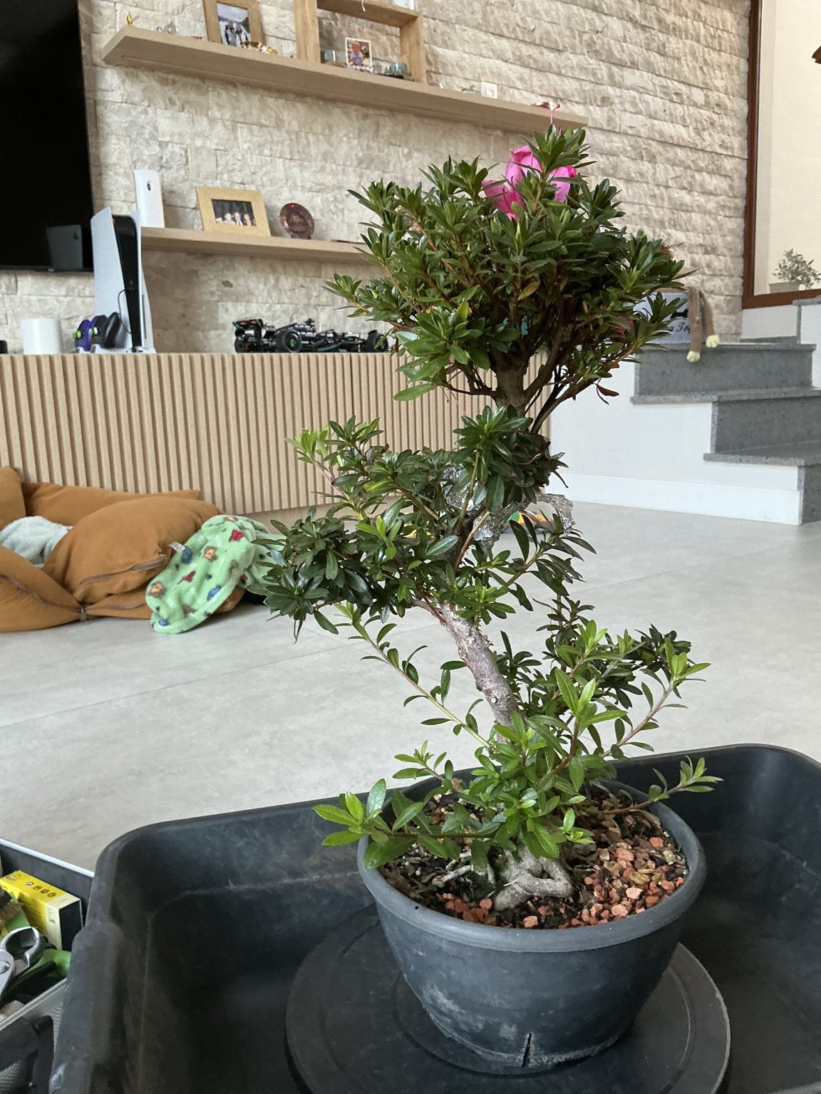Photo 18