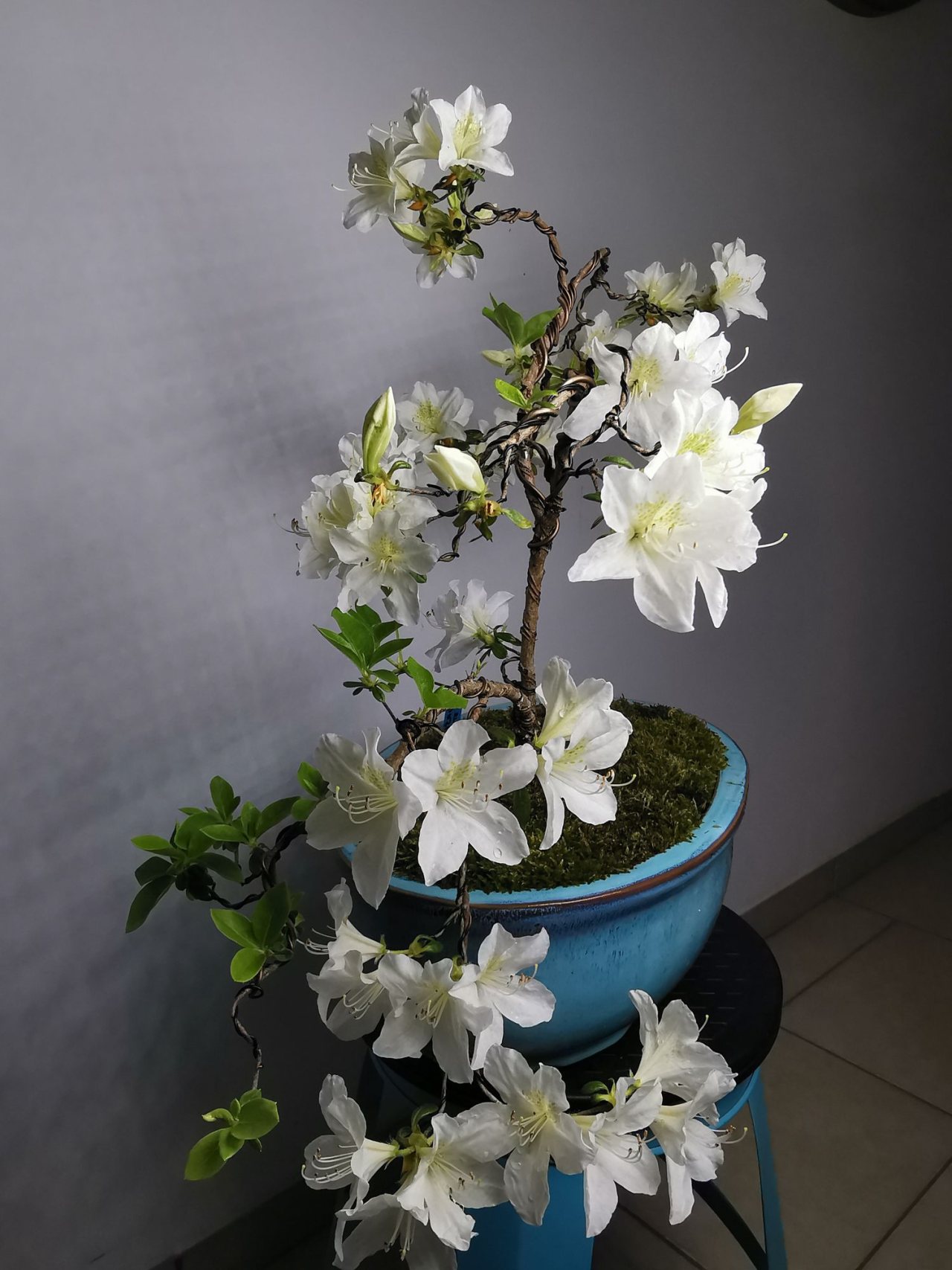 Photo 18