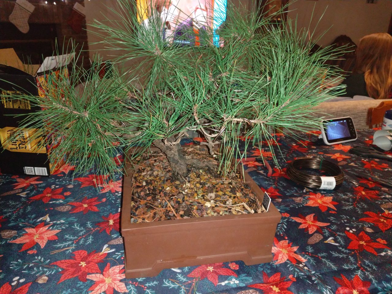 Photo 5