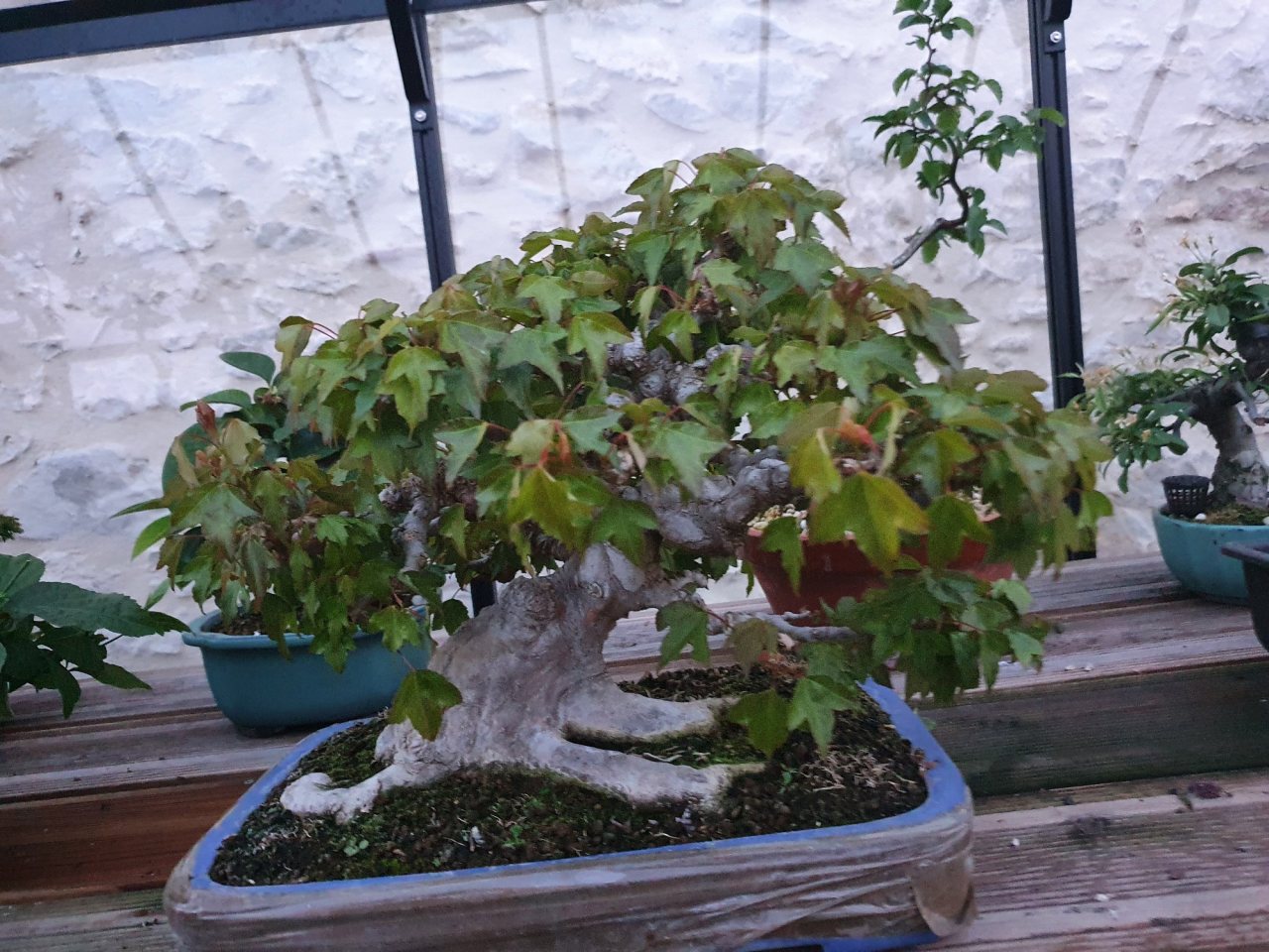 Photo 15