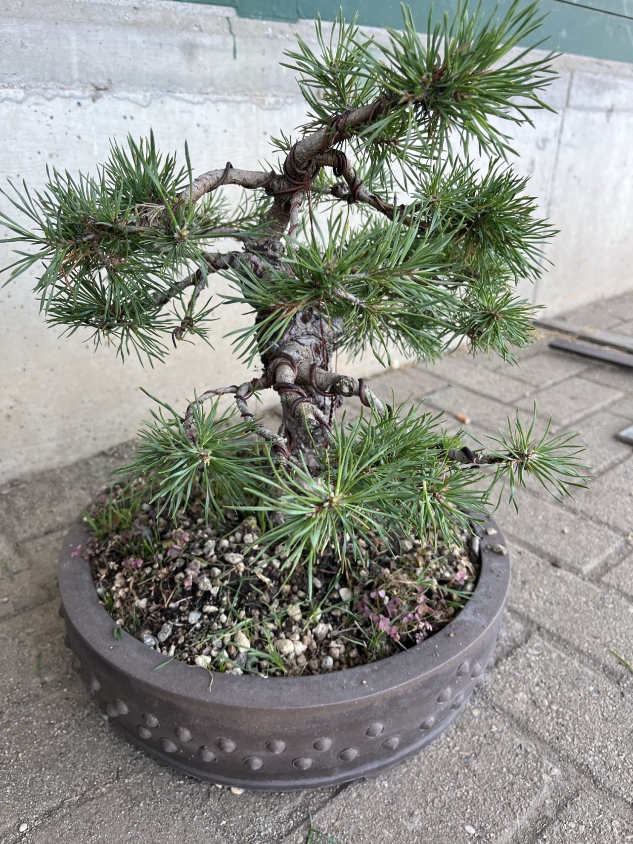 Photo 28