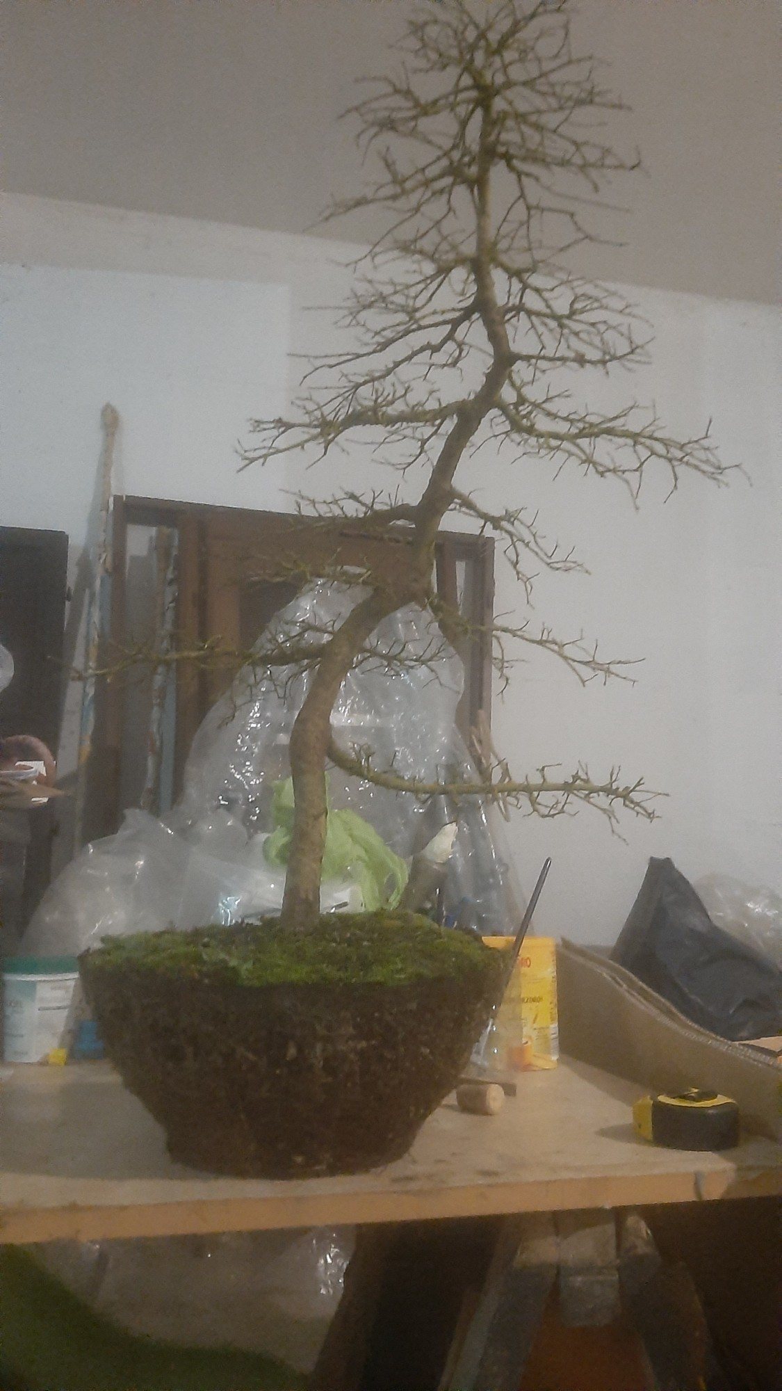 Photo 4