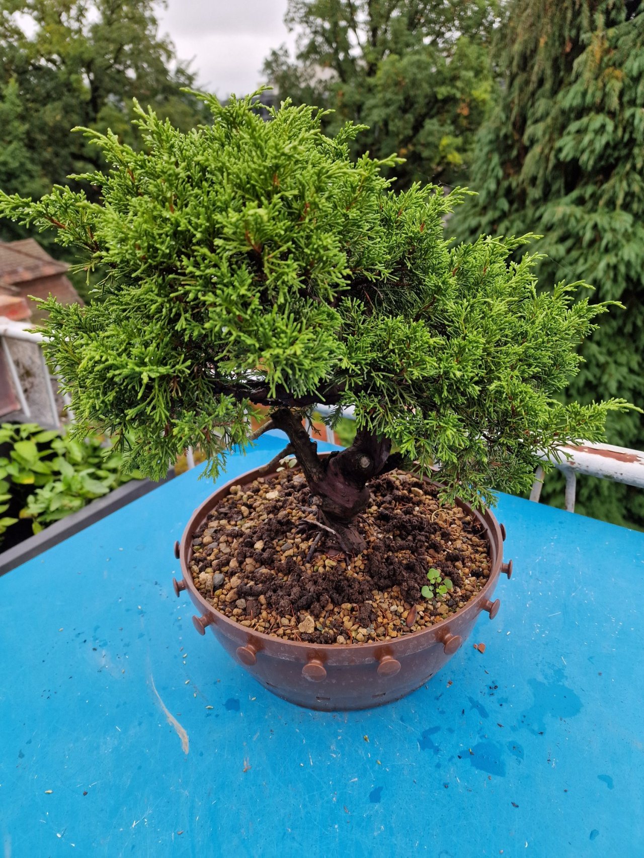 Photo 21