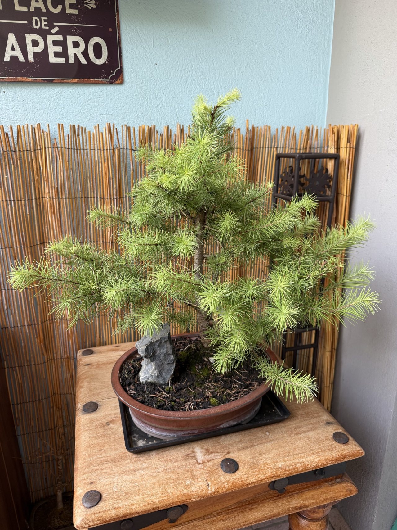 Photo 5