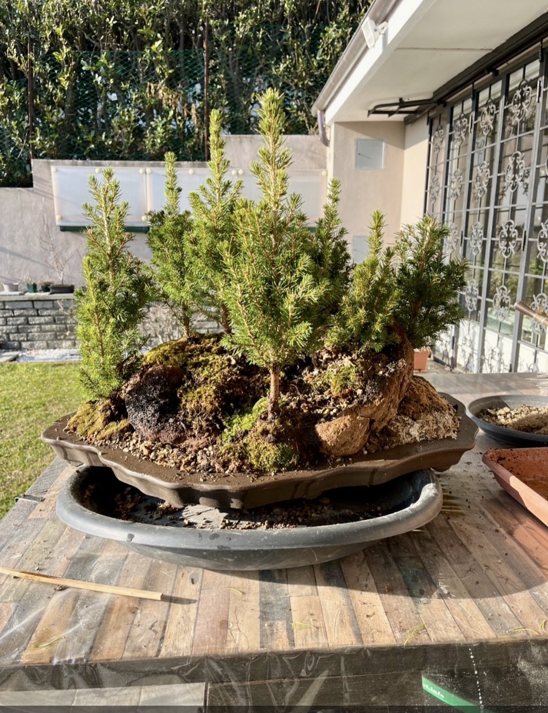 Photo 22