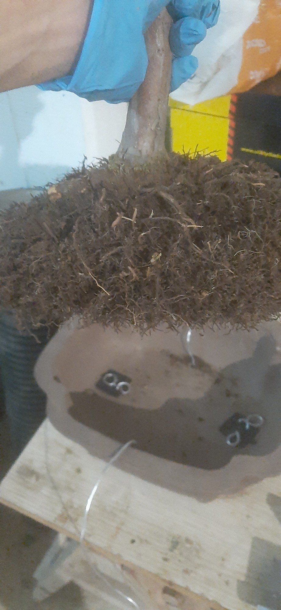 Photo 17