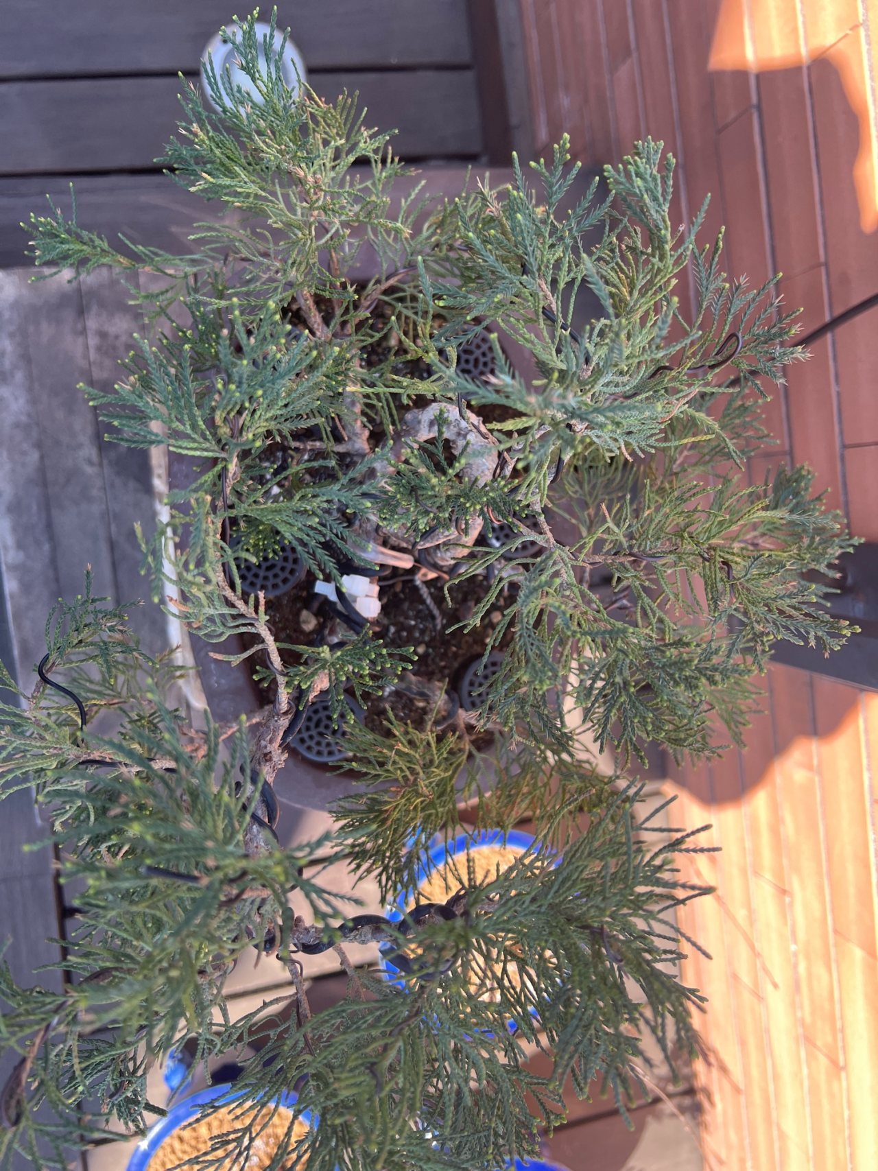 Photo 23