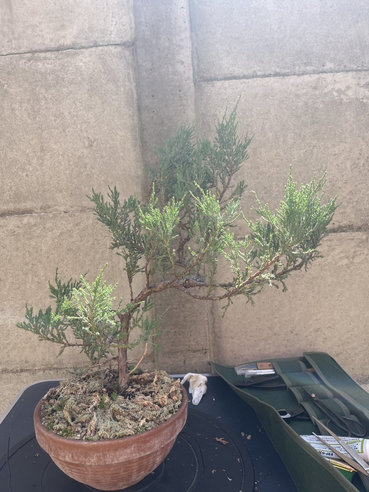Photo 17
