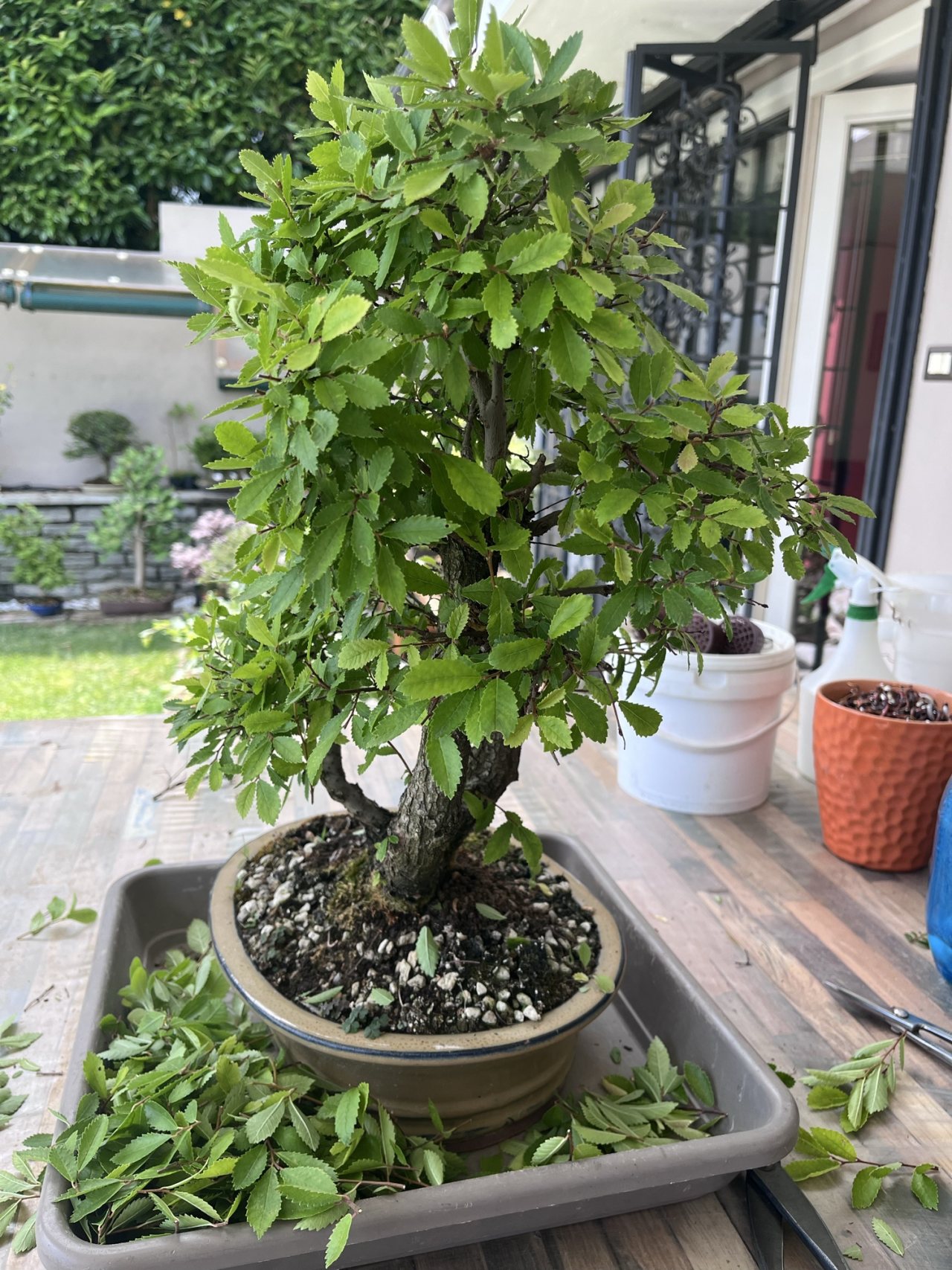 Photo 18
