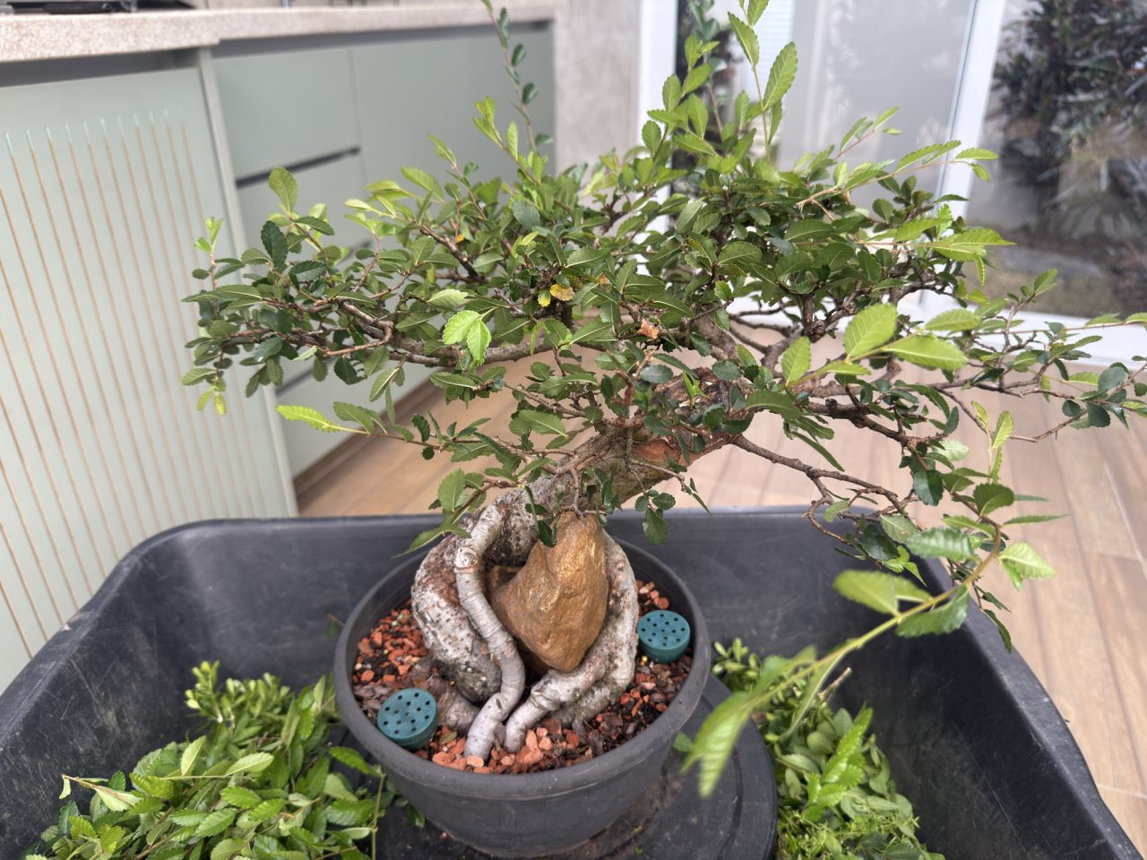Photo 18