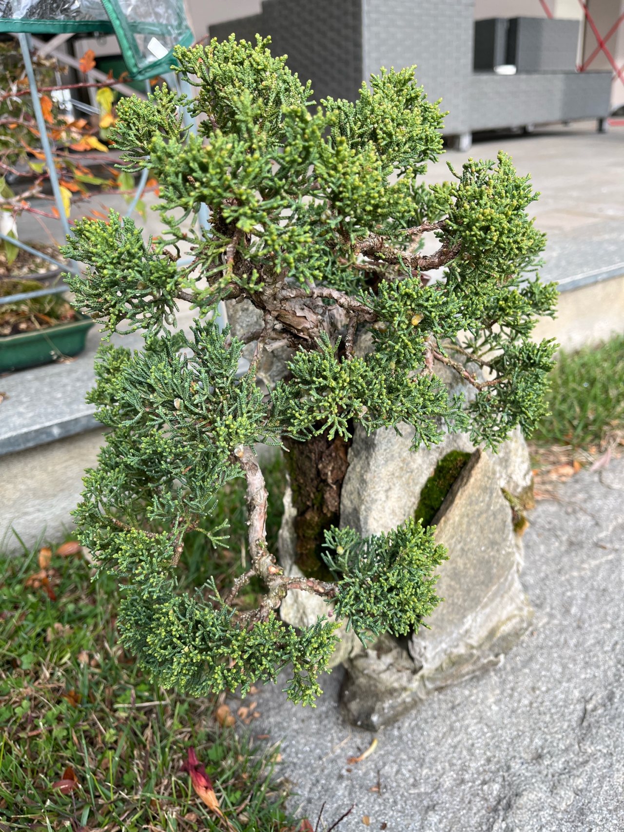 Photo 6