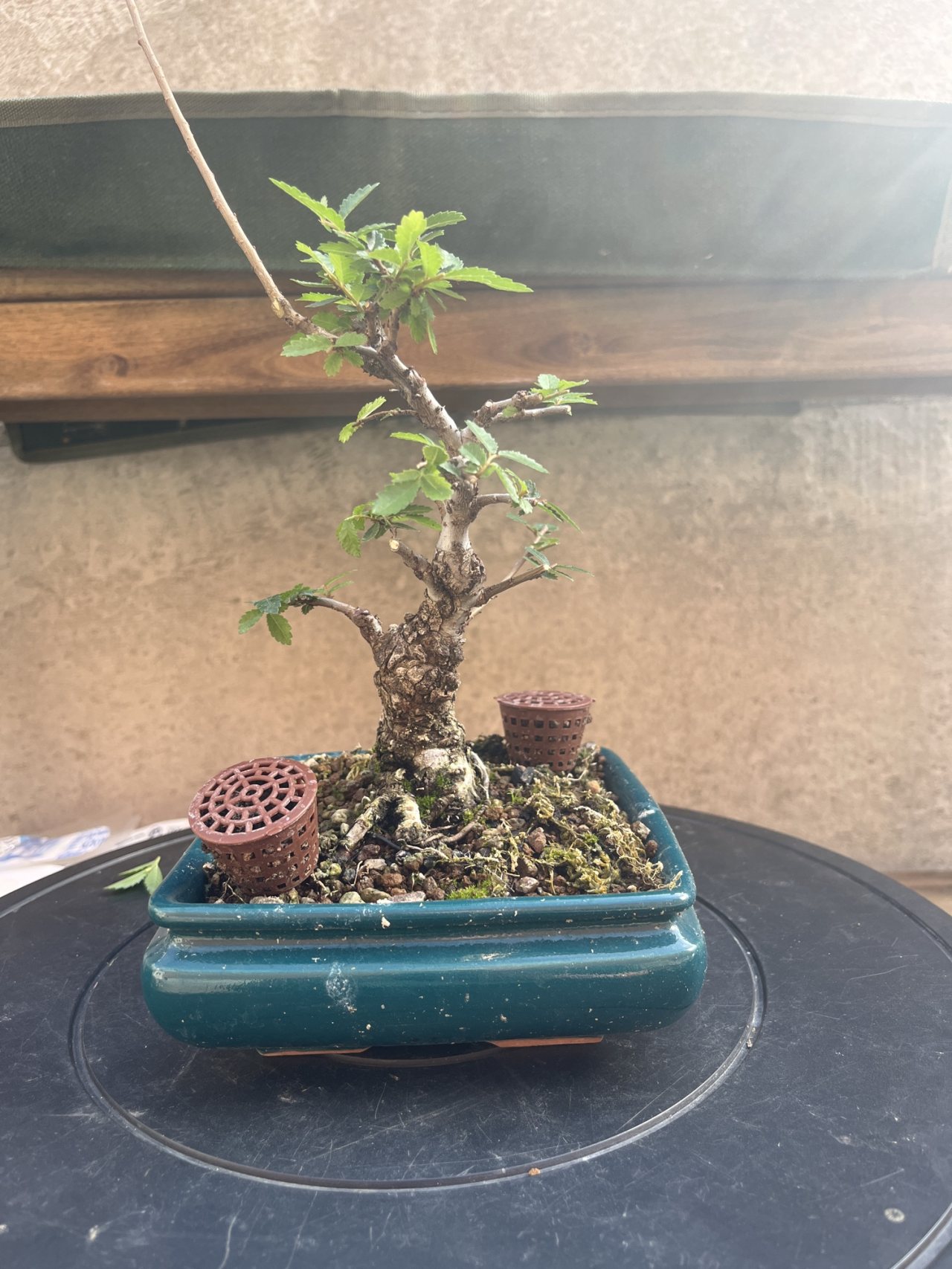 Photo 22