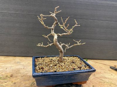 Meleze planfor