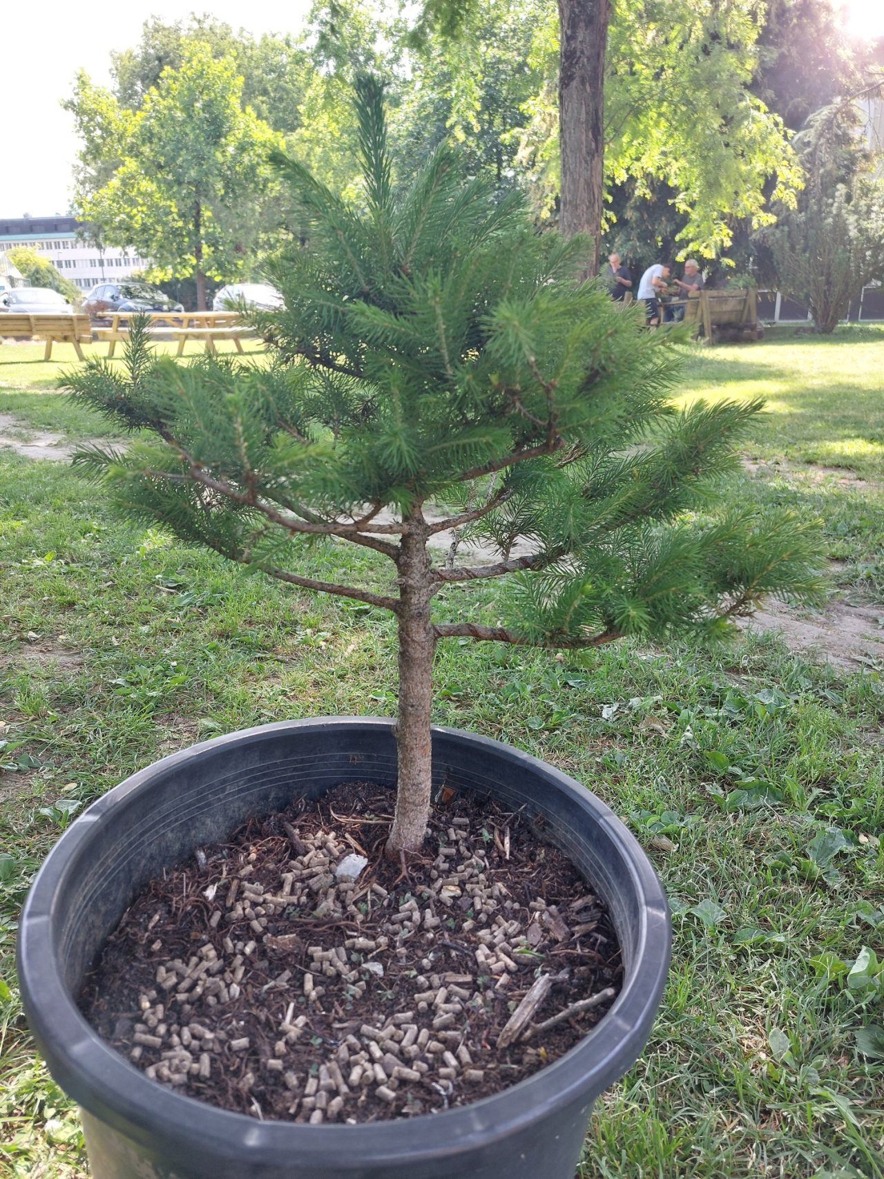 Photo 6