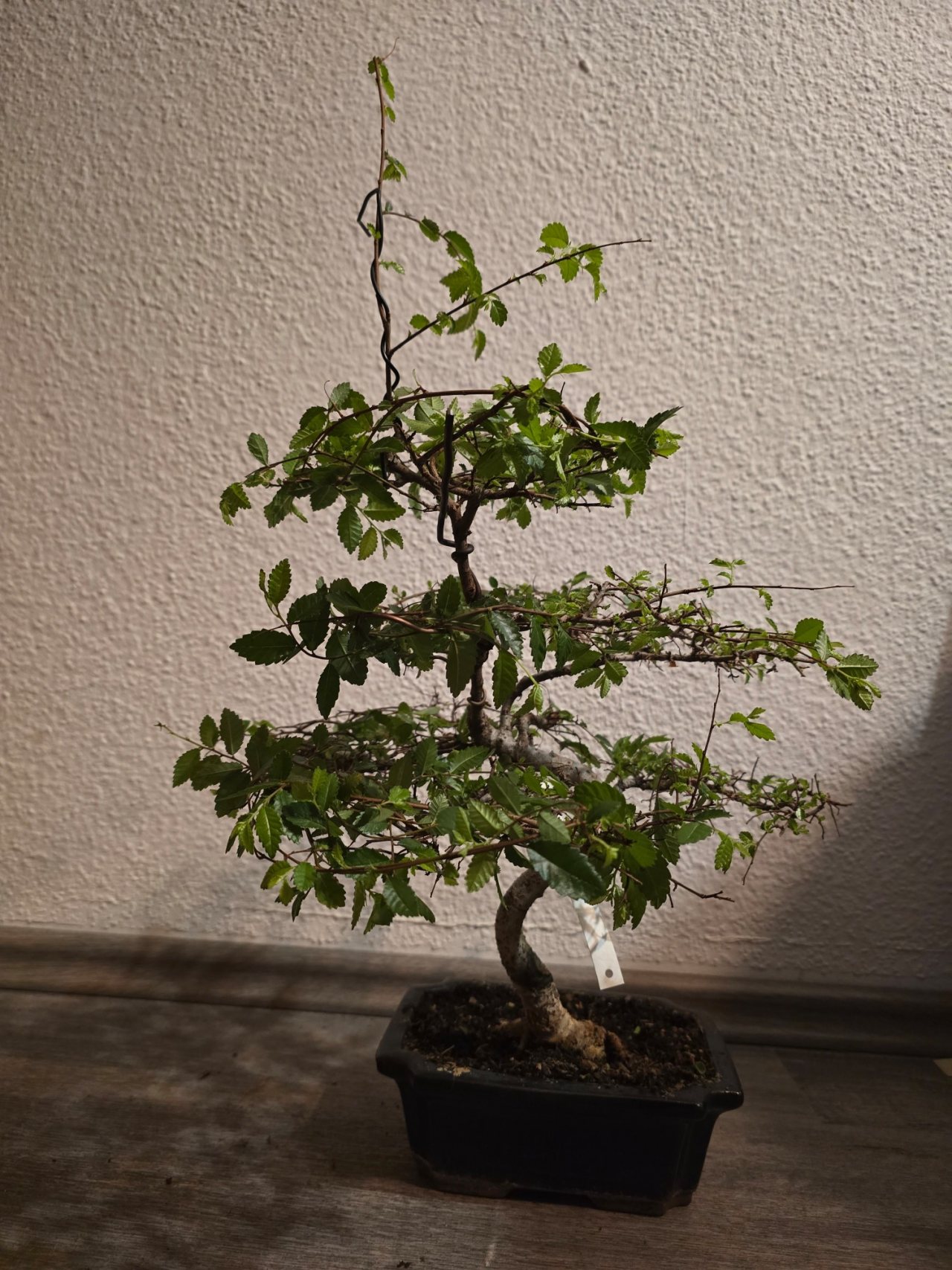 Photo 12