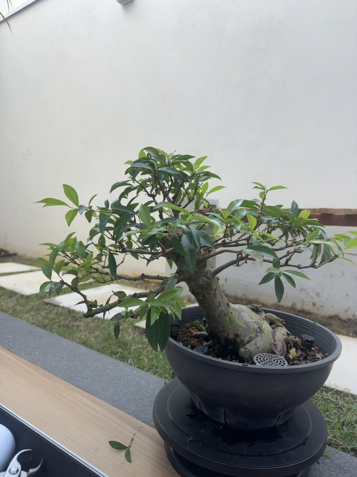 Photo 19