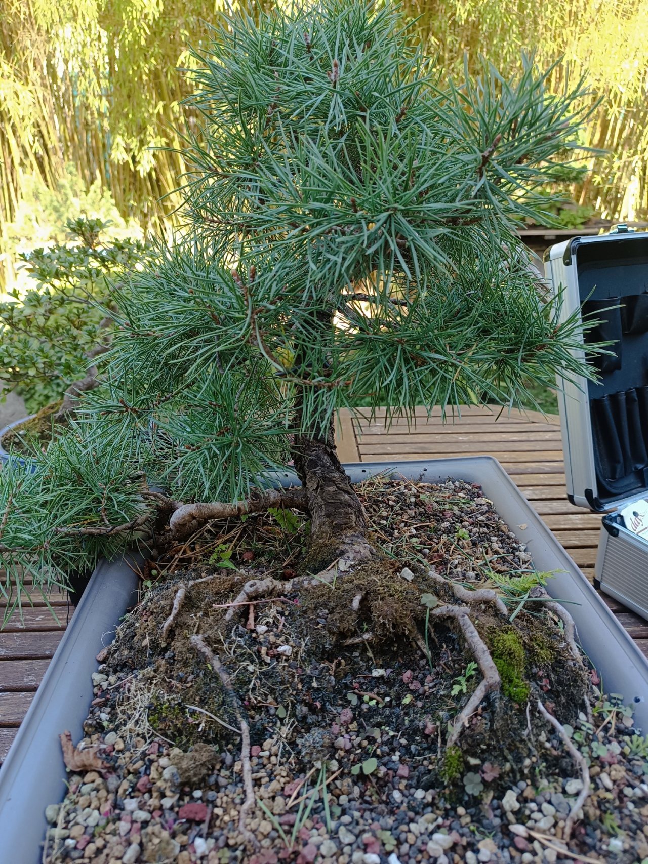 Photo 8