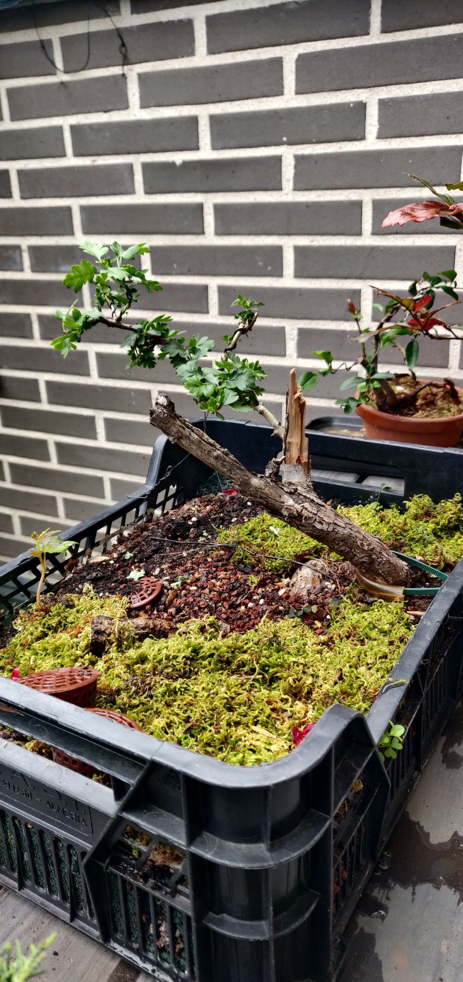 Photo 15