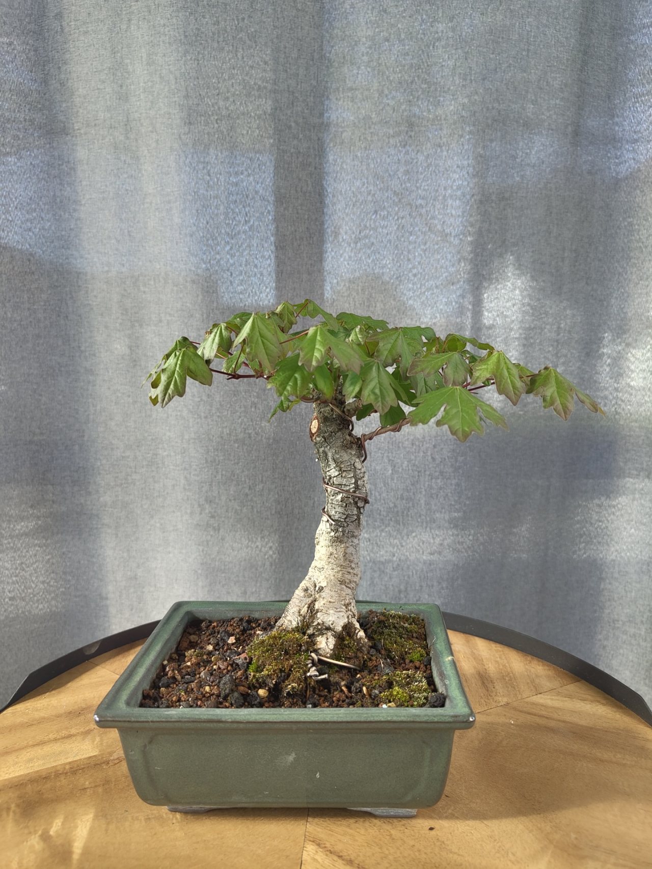 Photo 6