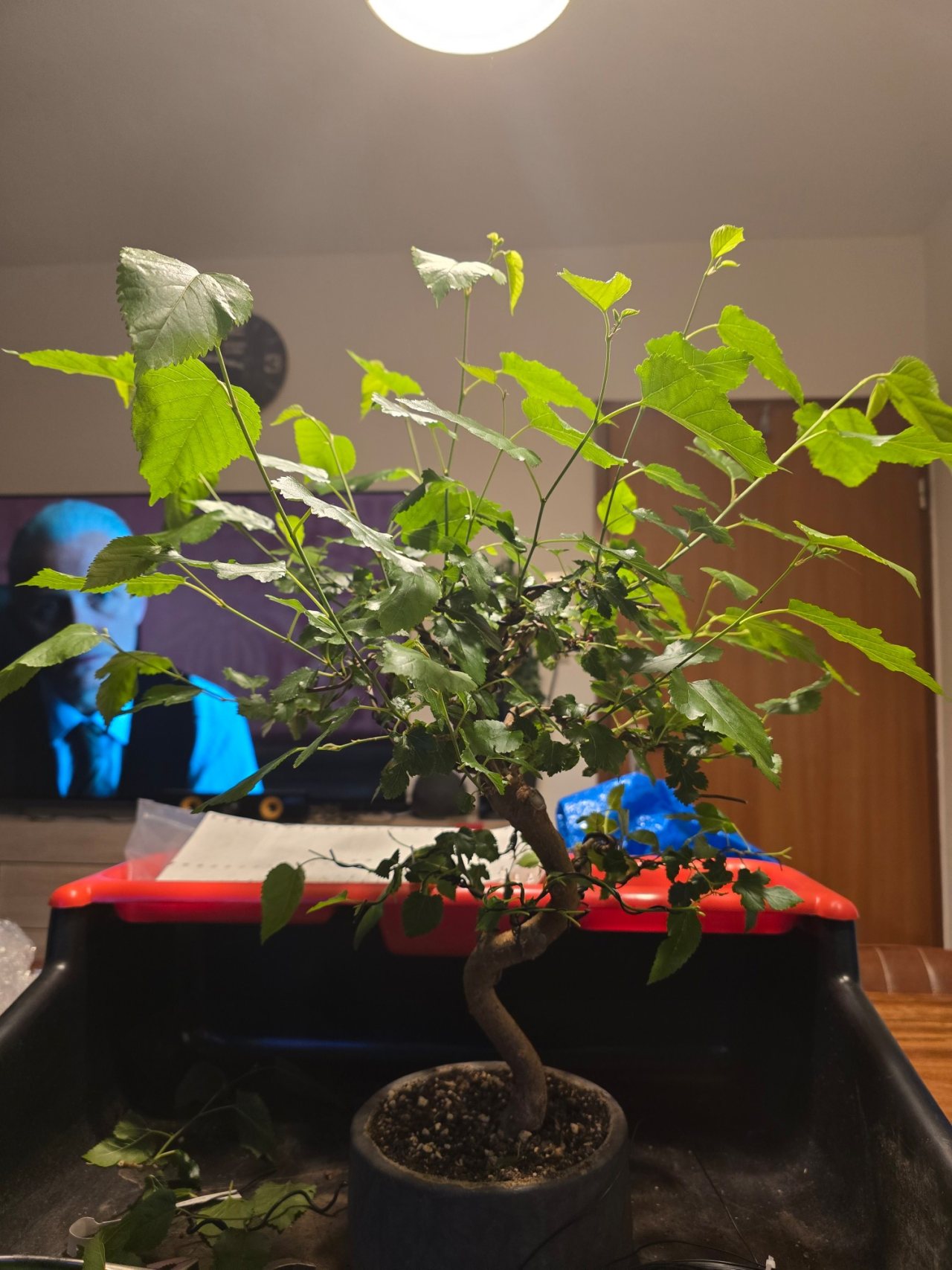 Photo 14