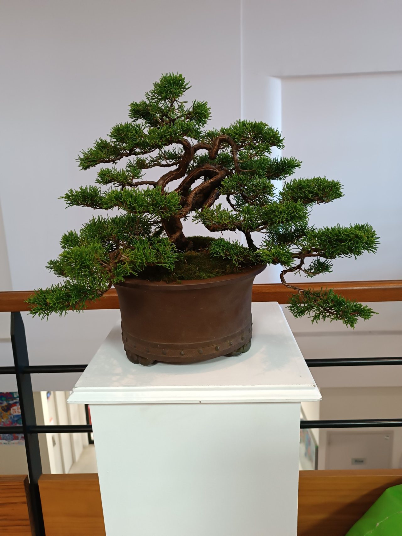 Photo 12