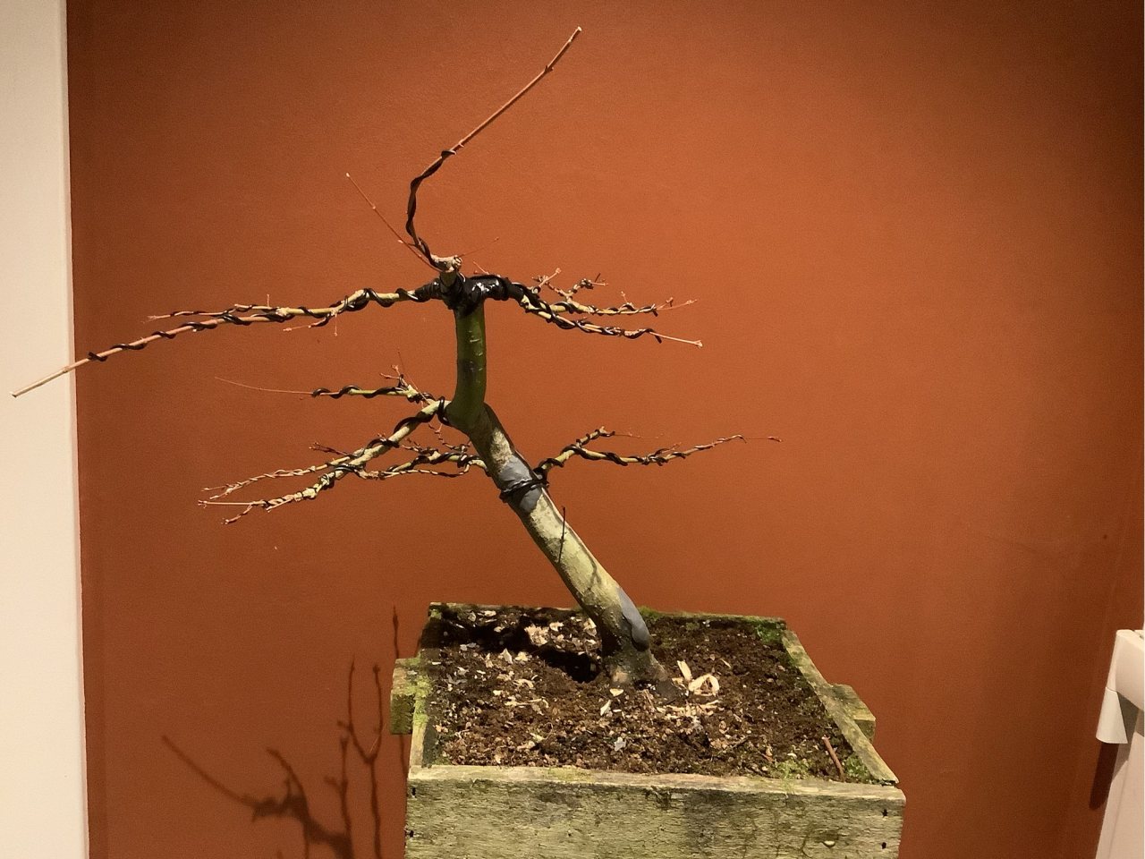 Photo 4