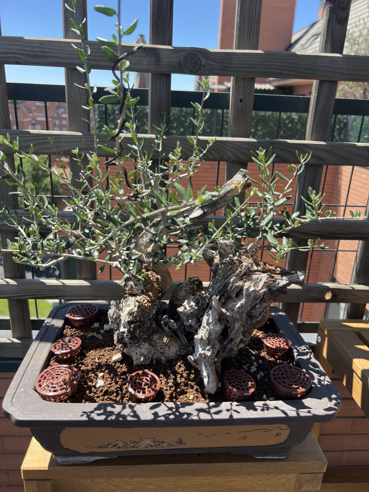 Photo 19