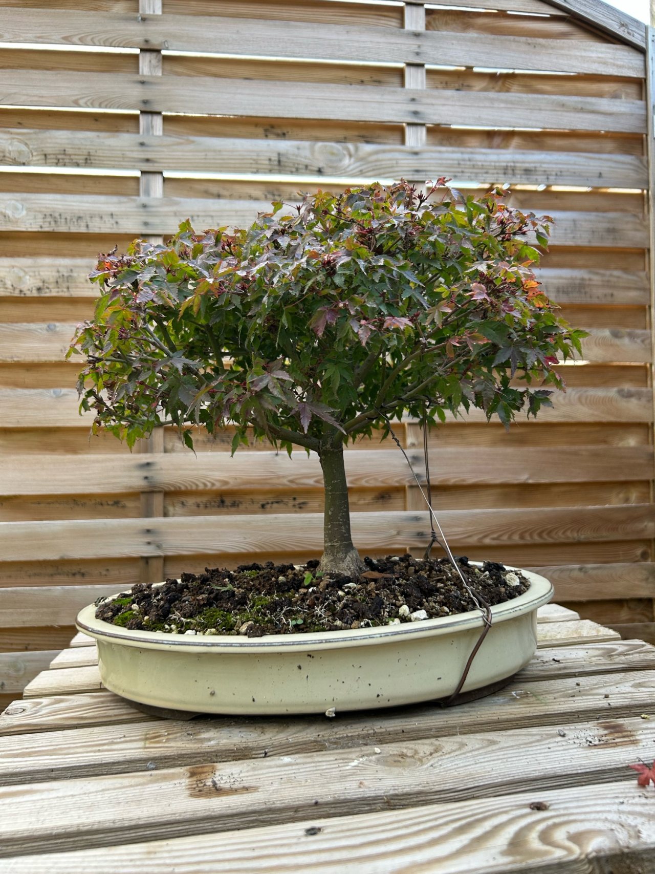 Photo 12