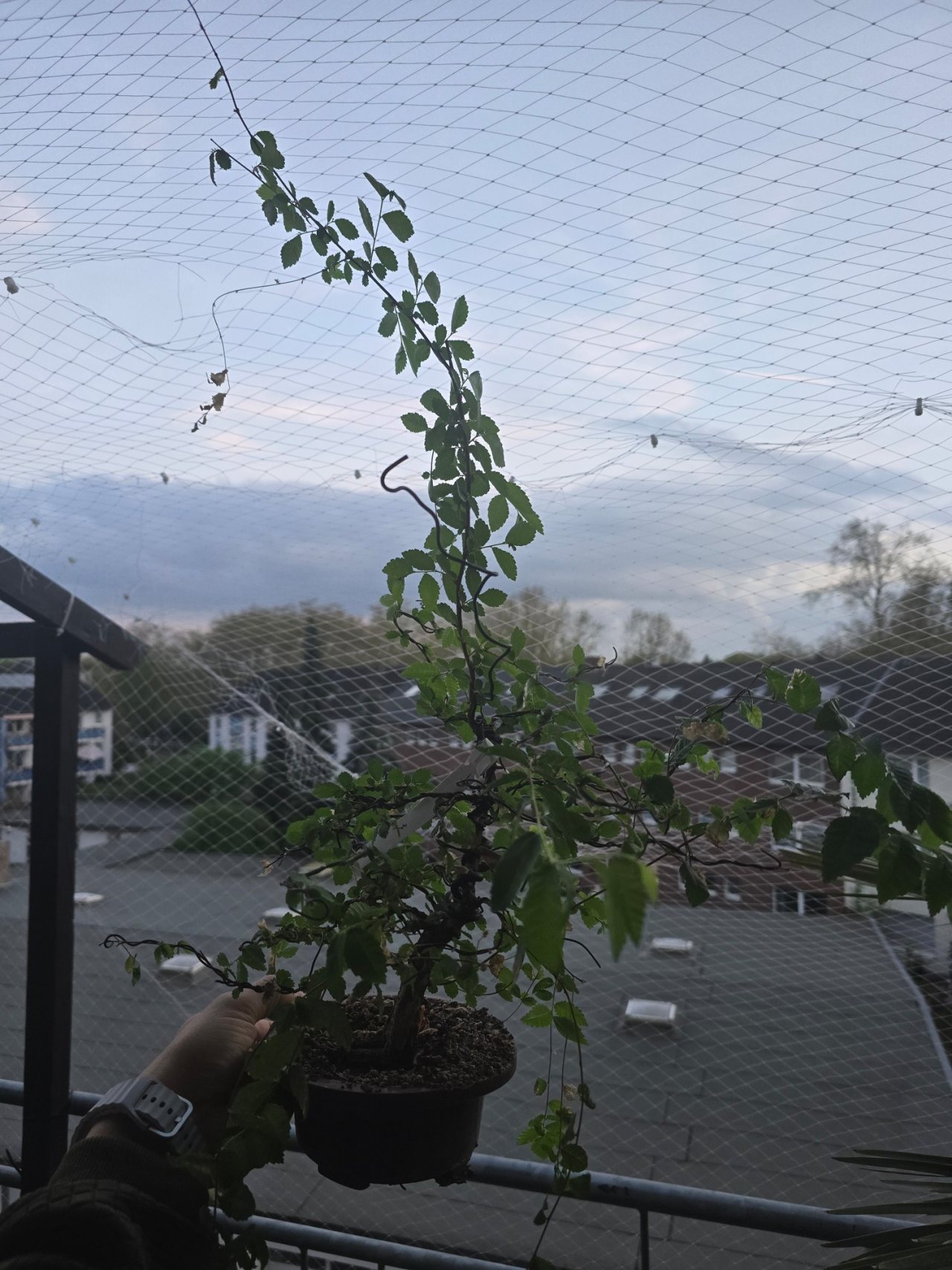 Photo 16