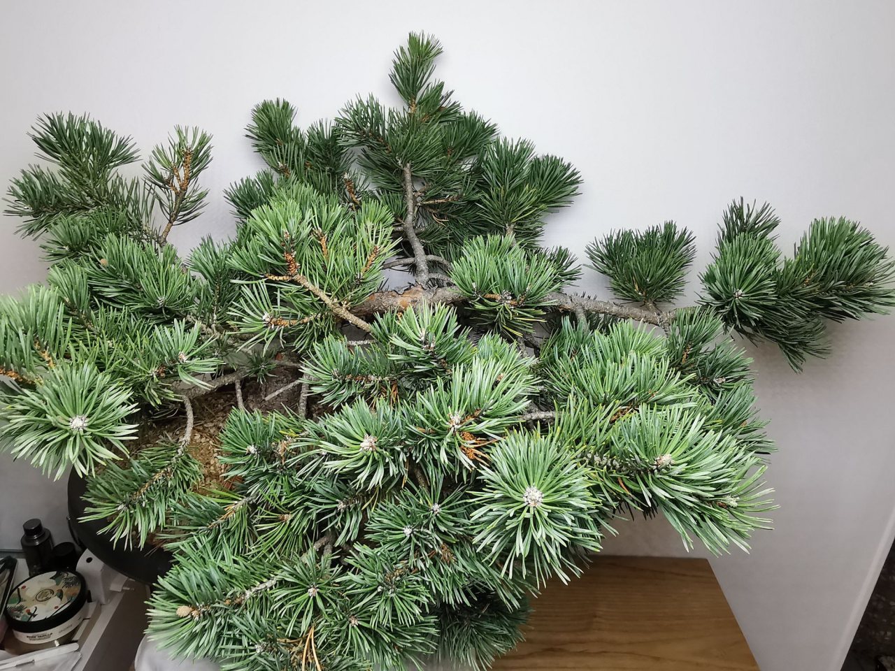 Photo 13
