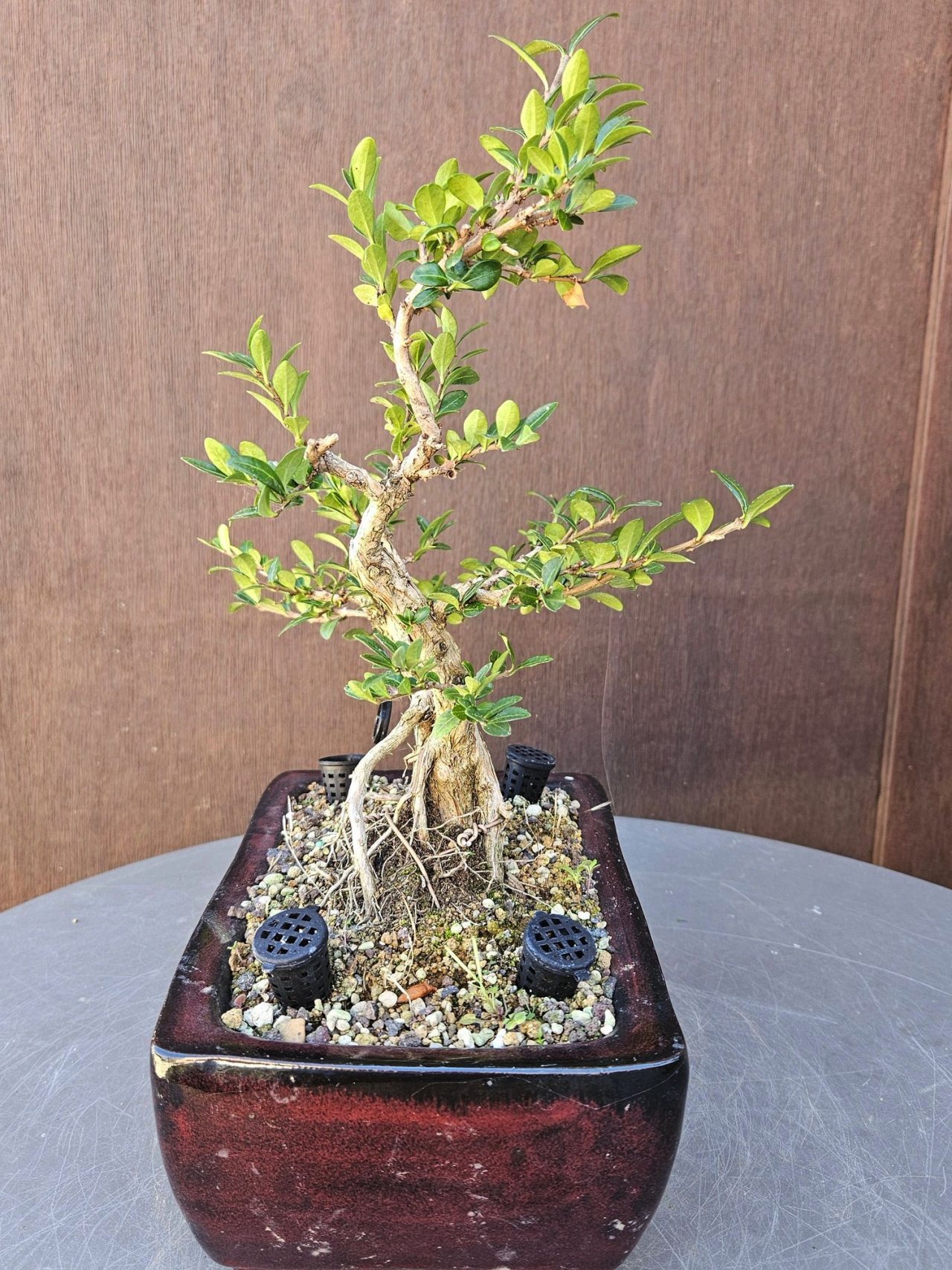 Photo 4