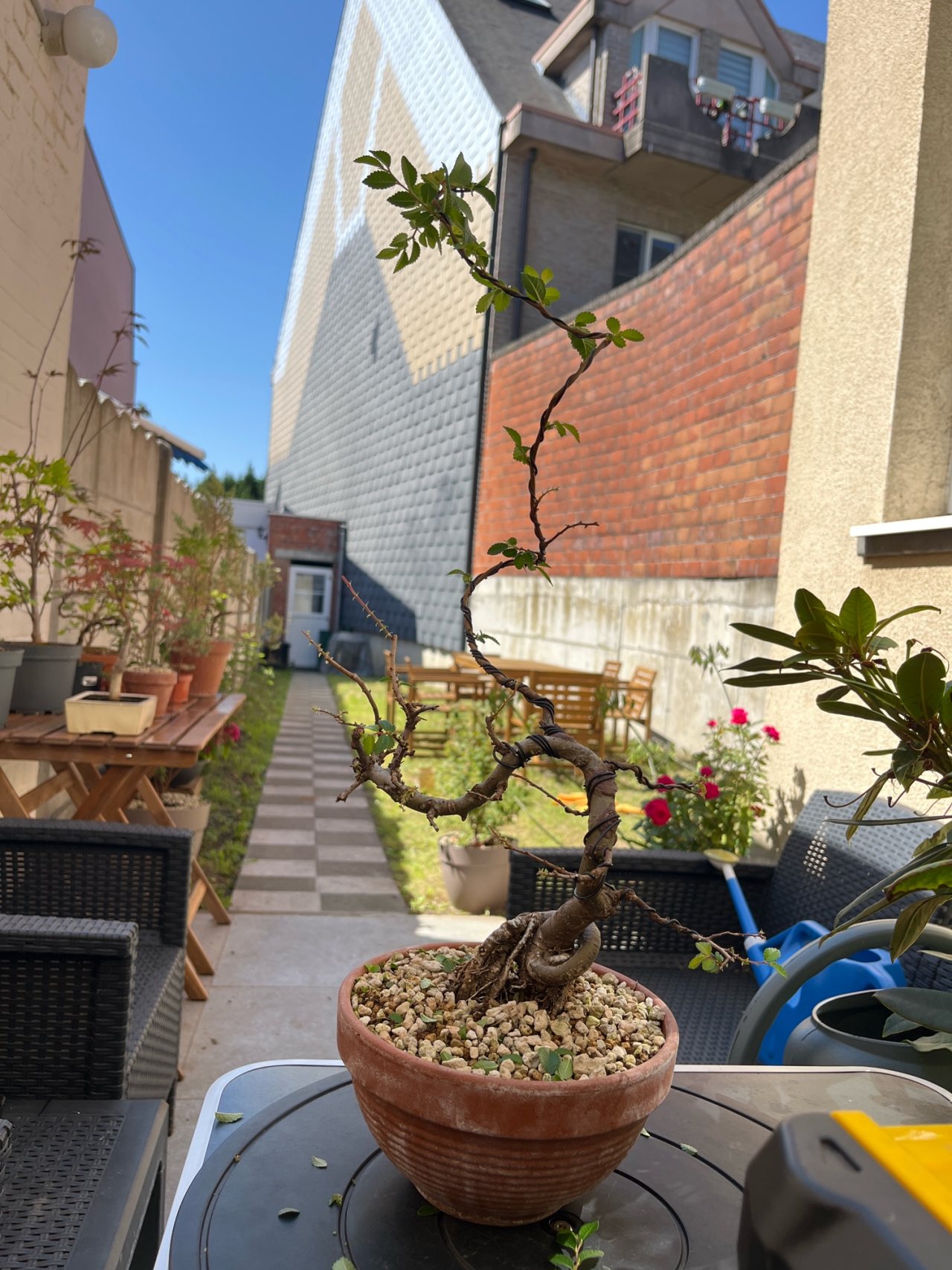 Photo 21