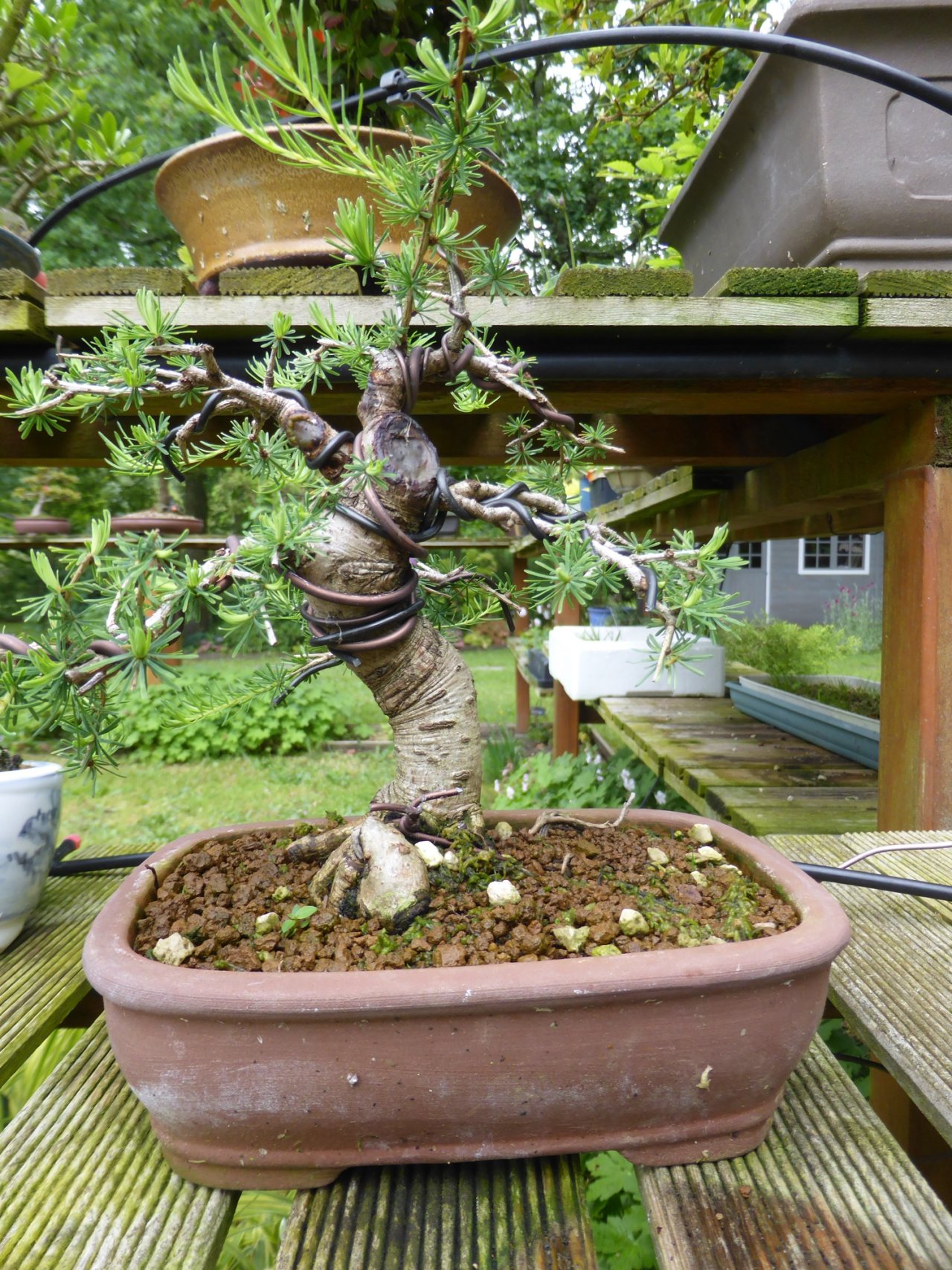 Photo 4