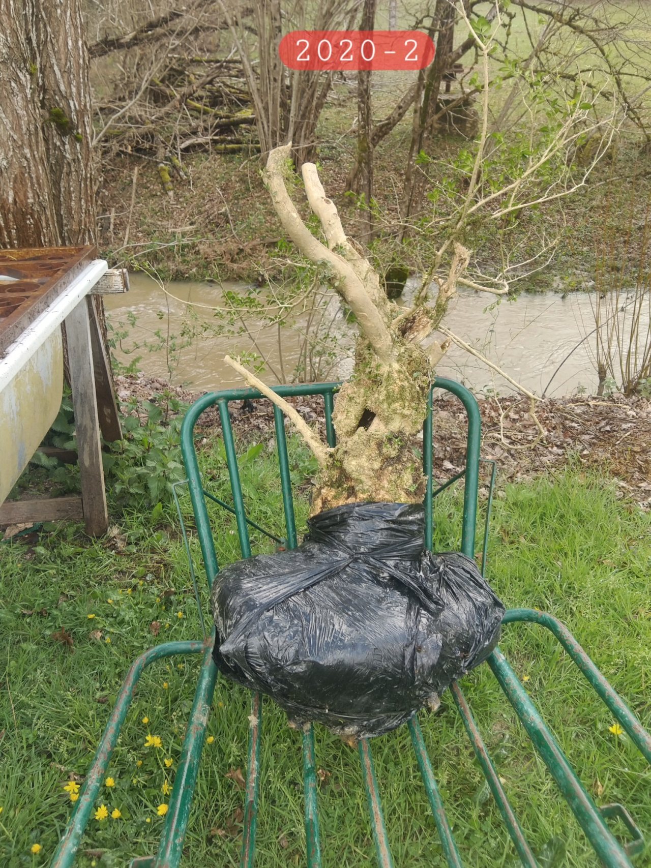 Photo 3