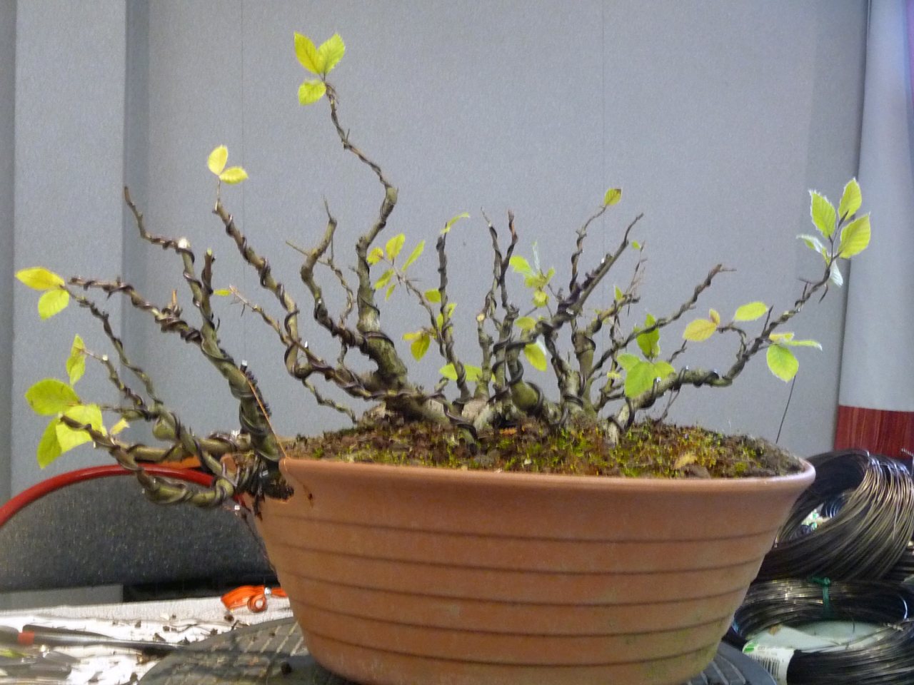Photo 14