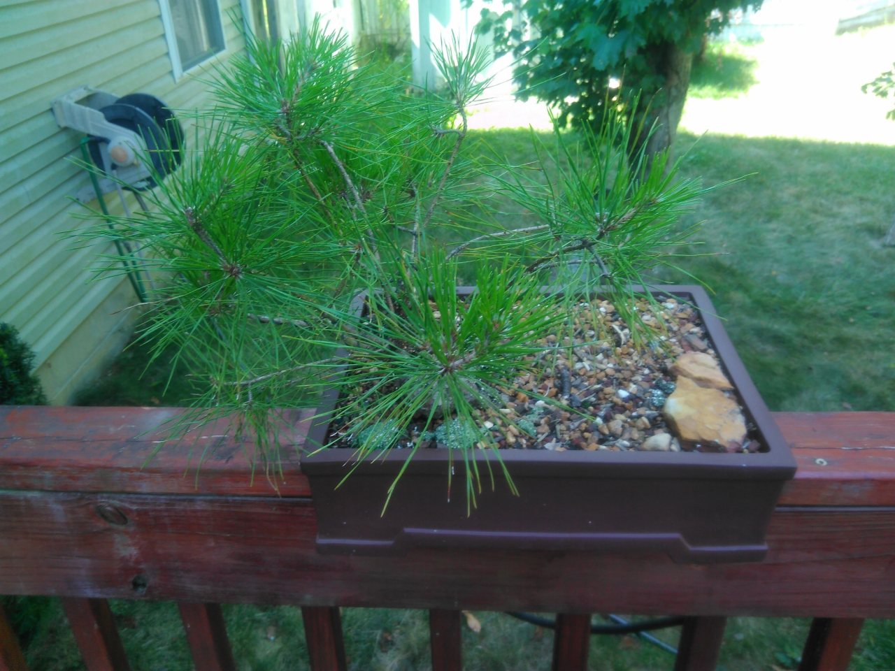 Photo 4
