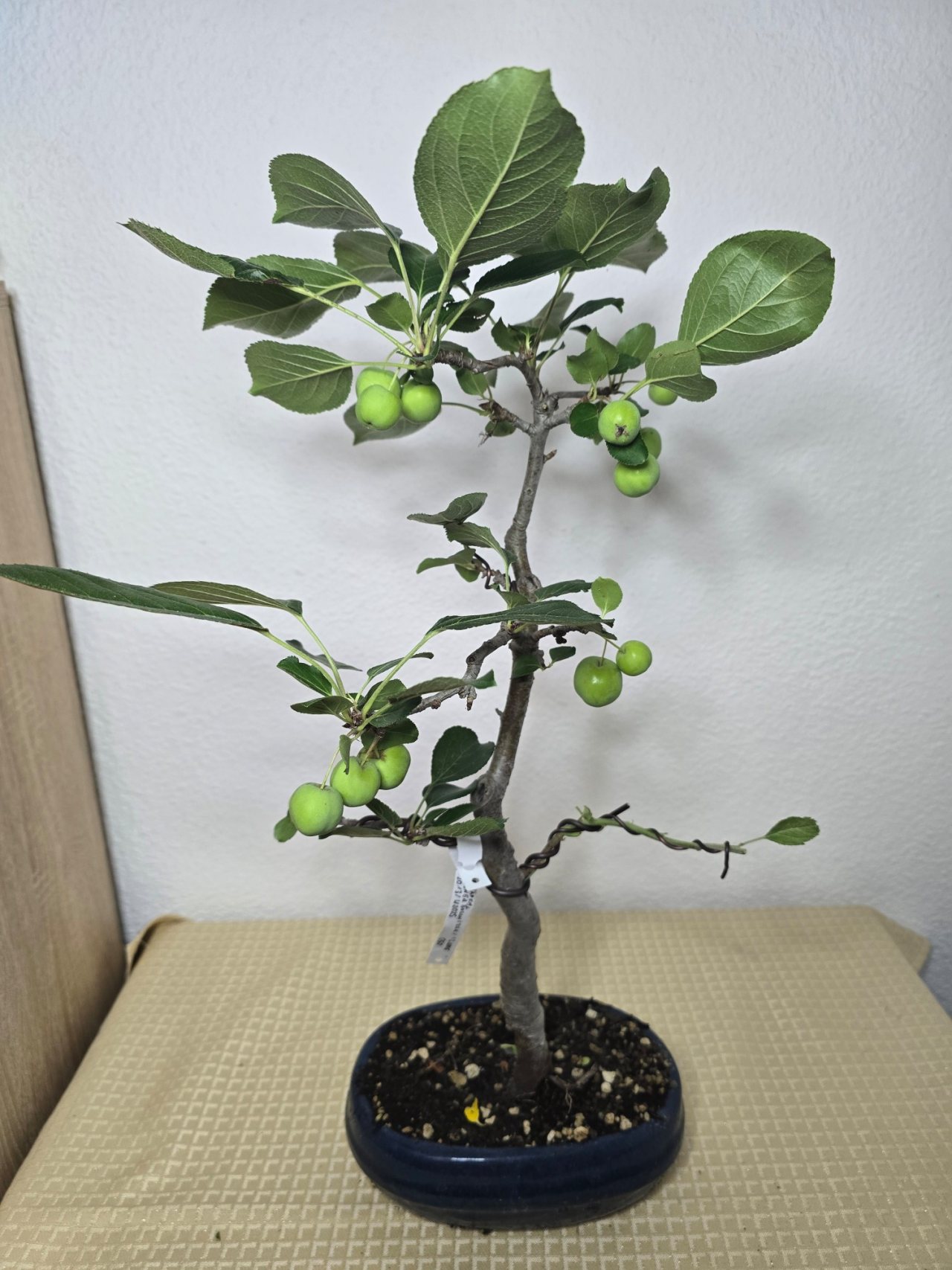 Photo 10