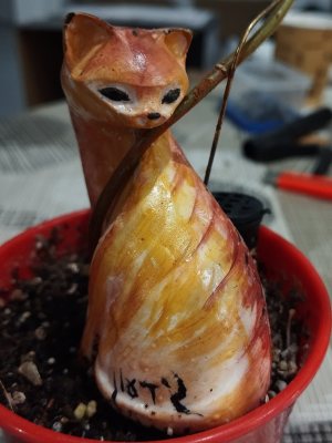 Кошка