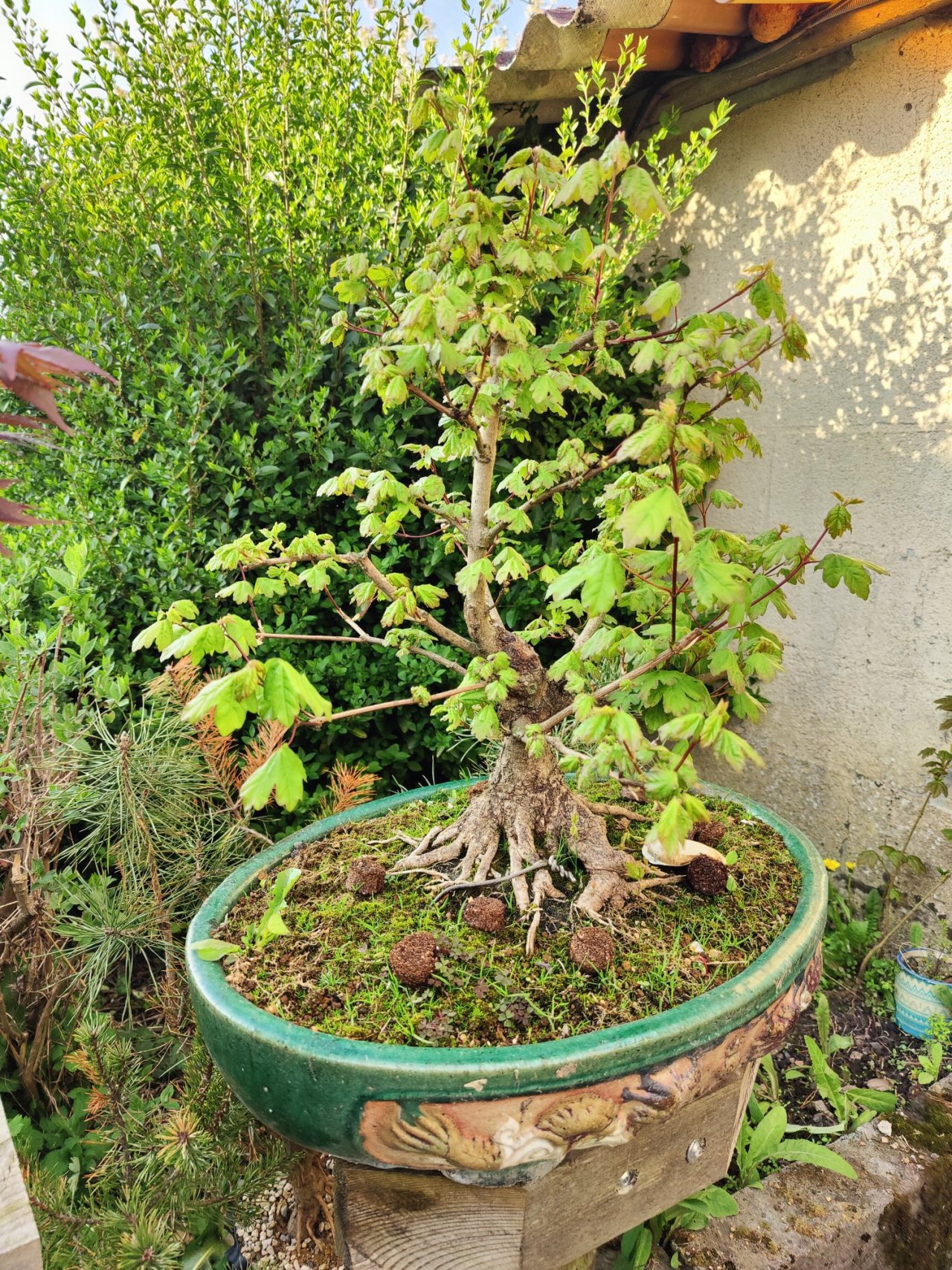 Photo 13