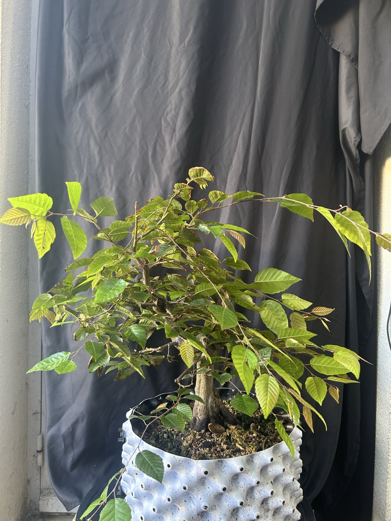Photo 18