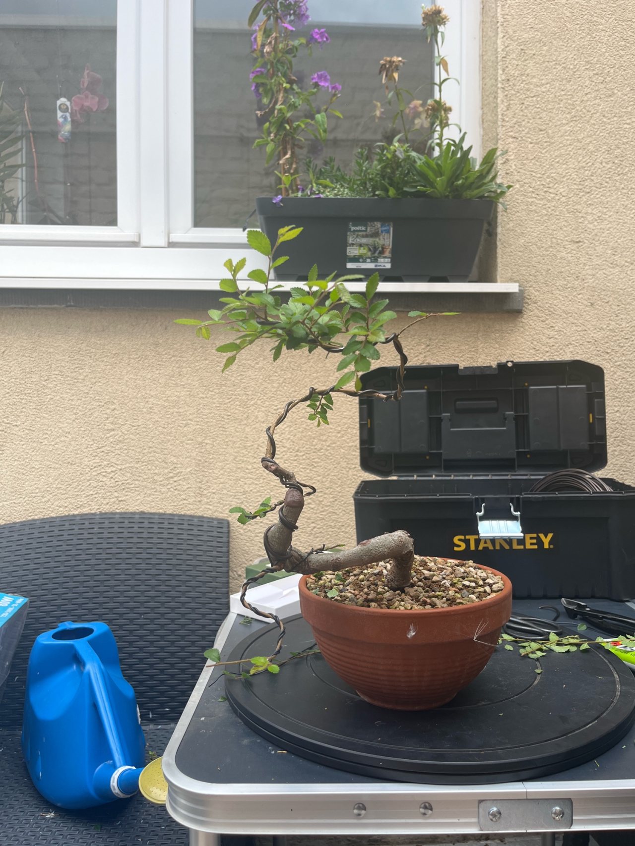 Photo 14