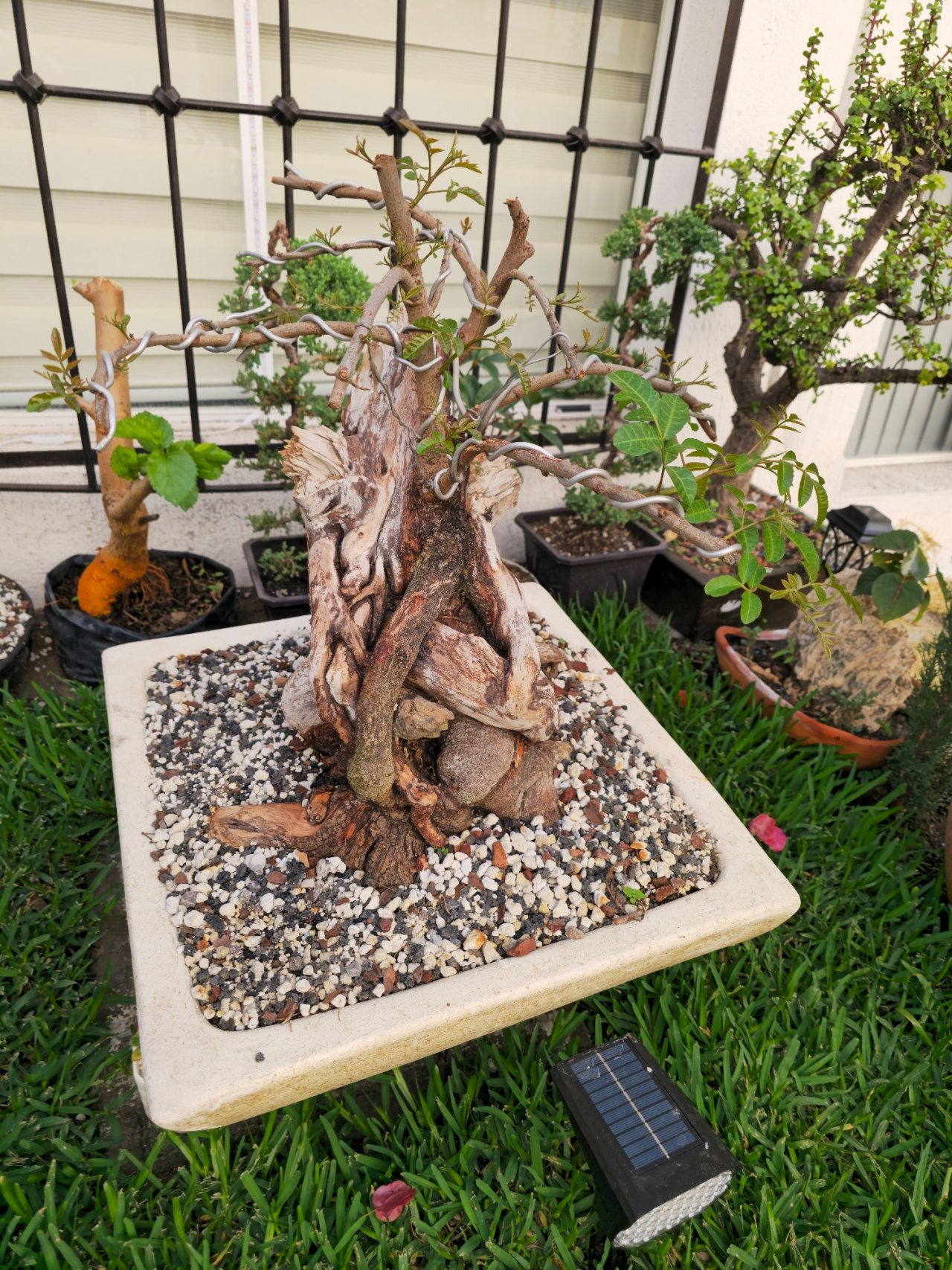 Photo 3
