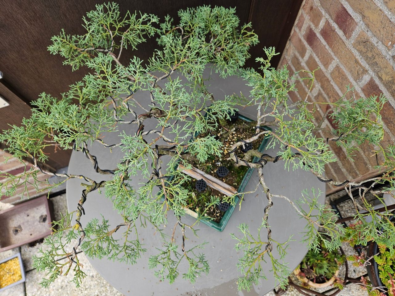 Photo 2